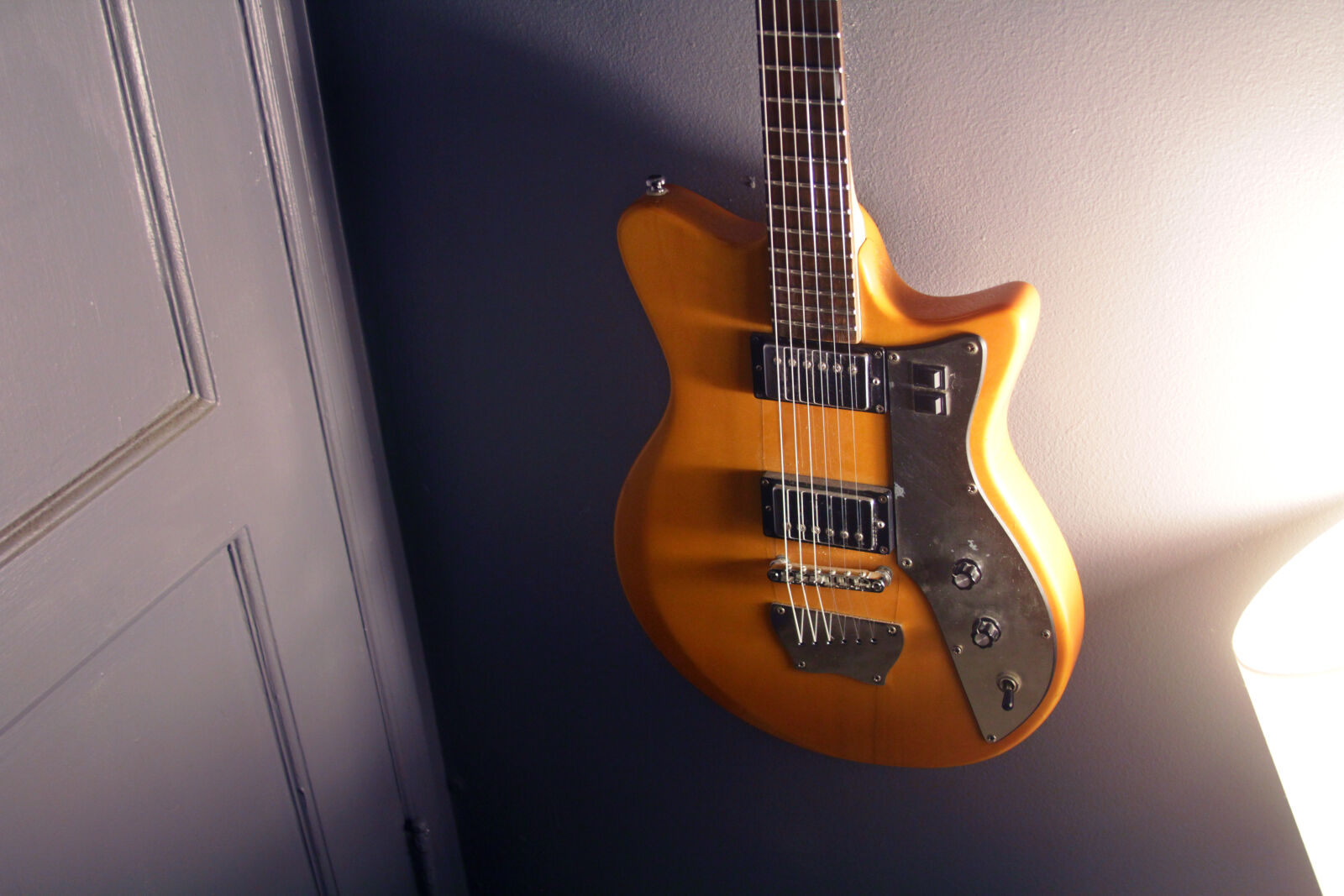 Canon EOS 550D (EOS Rebel T2i / EOS Kiss X4) sample photo. Brown, and, black, electric photography
