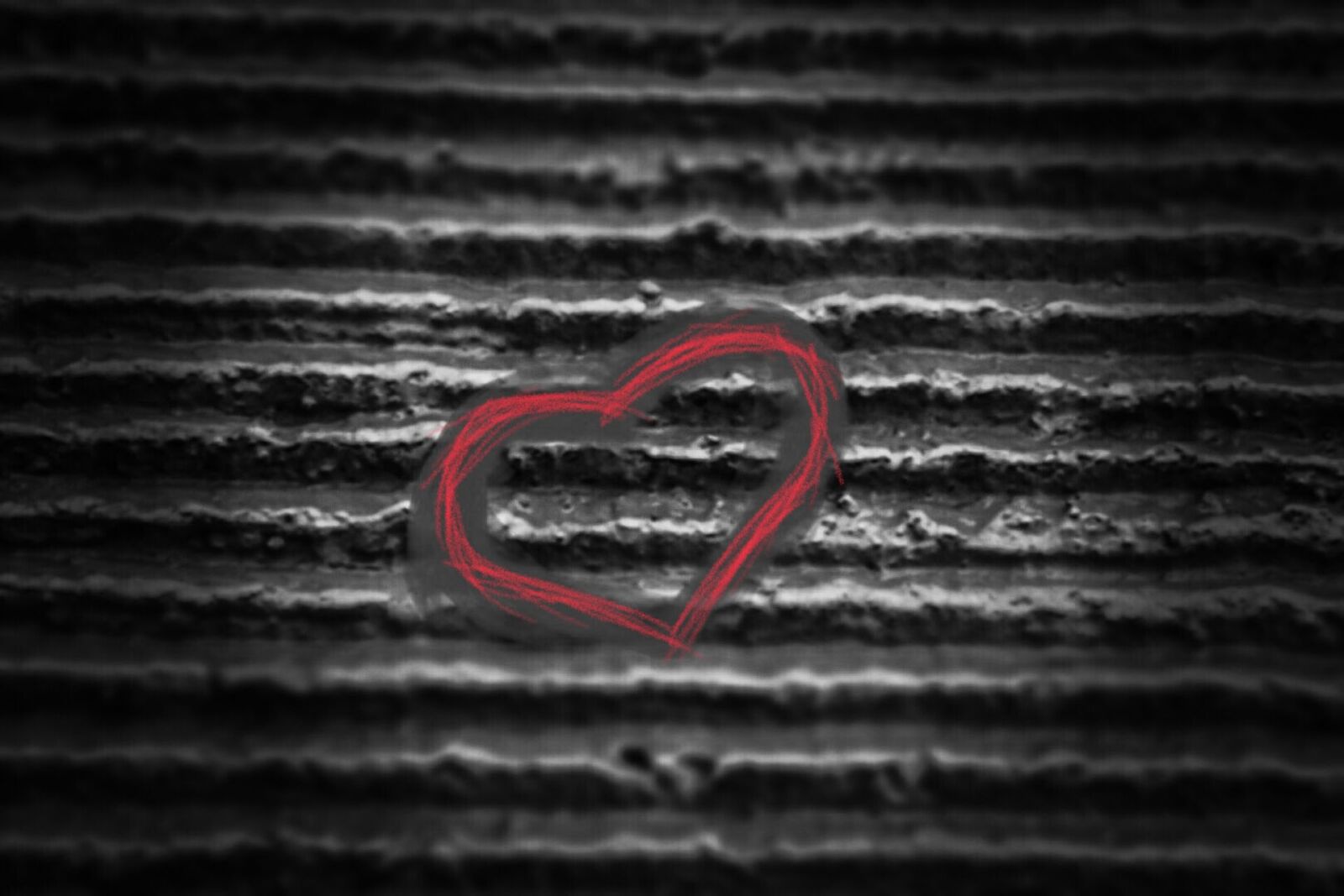 Nikon D5500 sample photo. Love, heart, romance photography