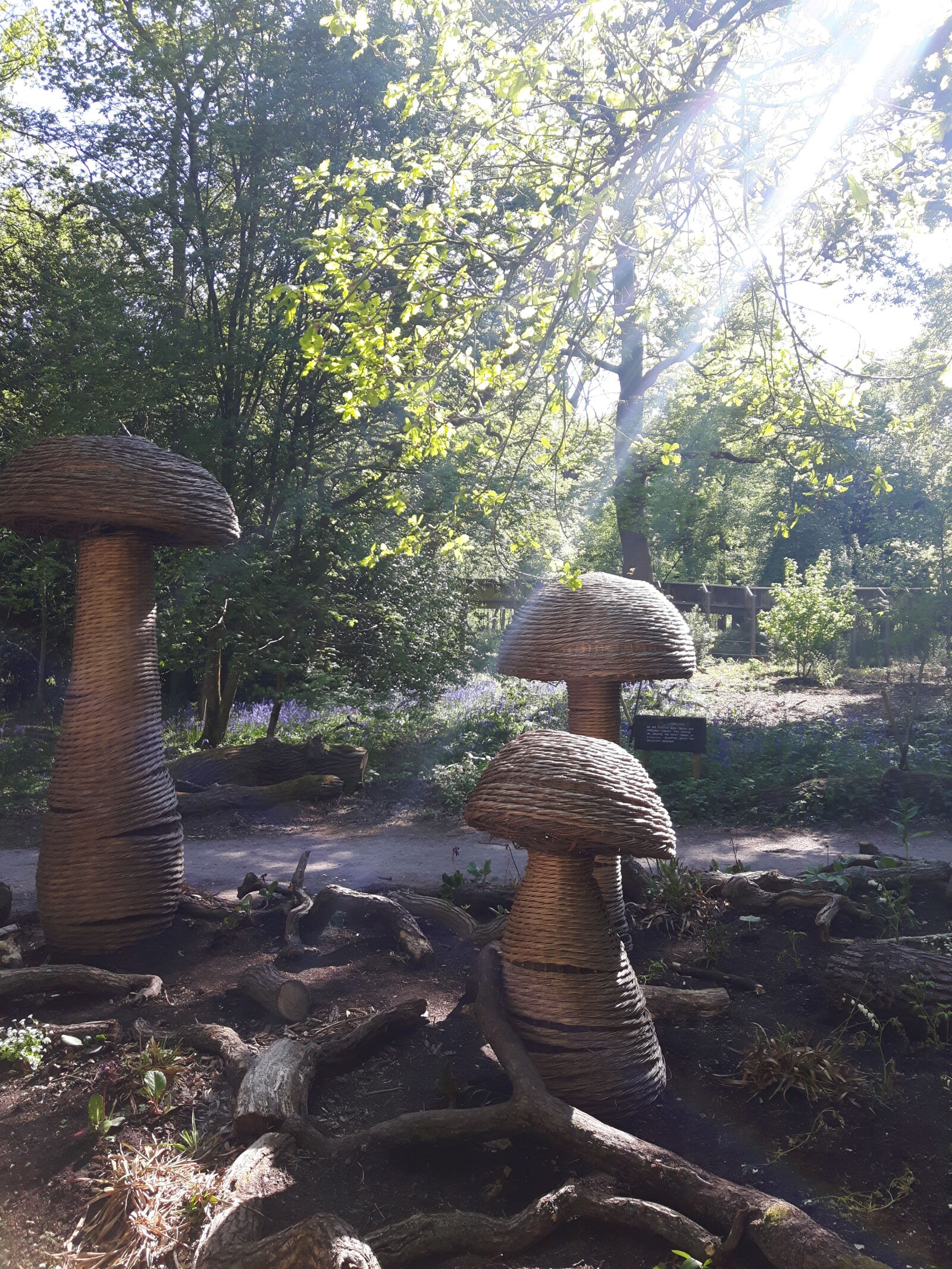 Samsung Galaxy S5 Neo sample photo. Mushroom, mushroom, sculpture, ray photography