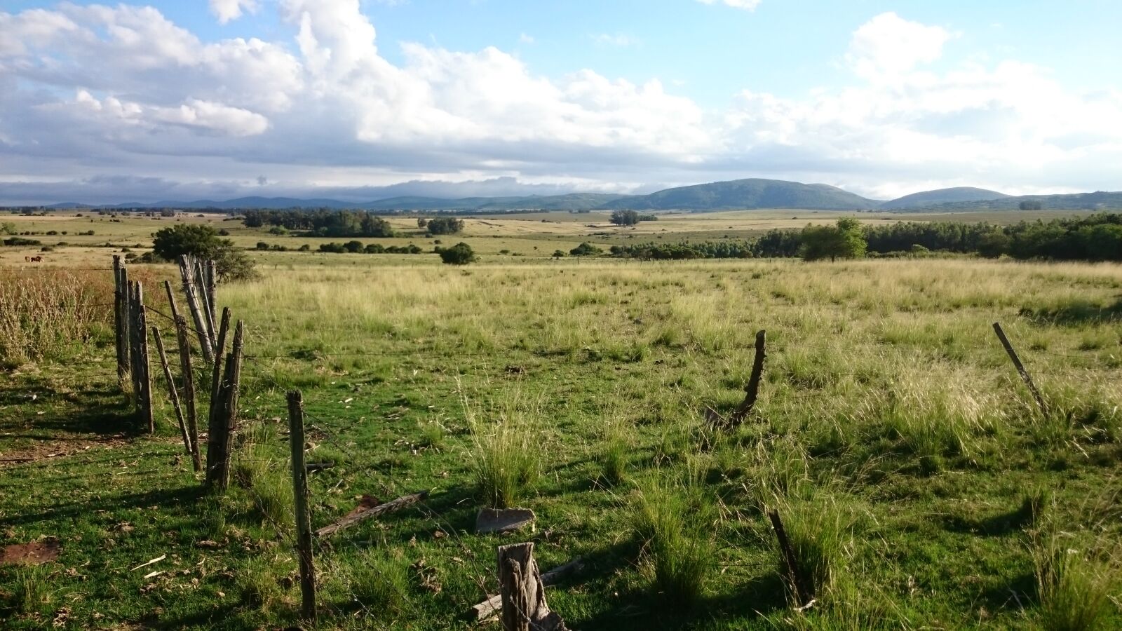 Sony Xperia Z1 sample photo. Cloudy, sky, farm, morning photography