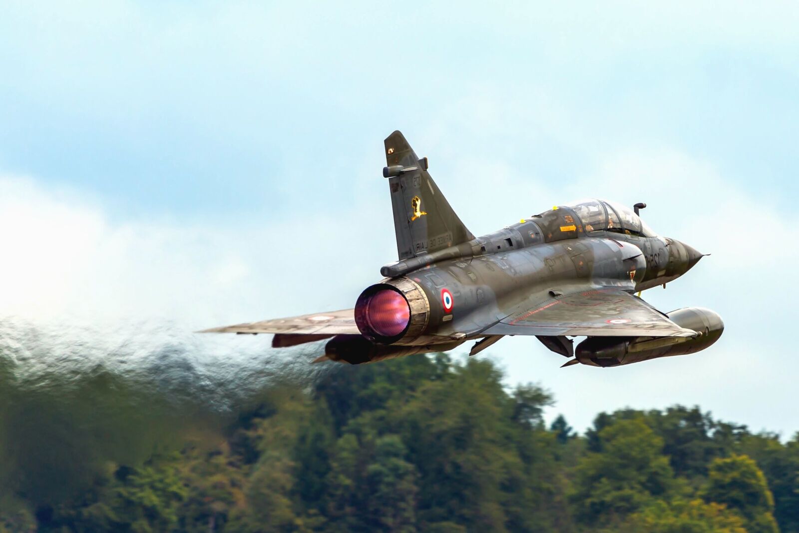 Canon EOS 5D Mark III sample photo. Warplane, aircraft, flight, forest photography