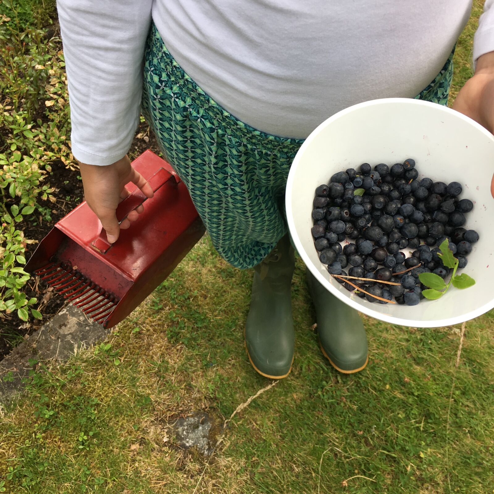 Apple iPhone 6s sample photo. Blueberries, boots, pick photography