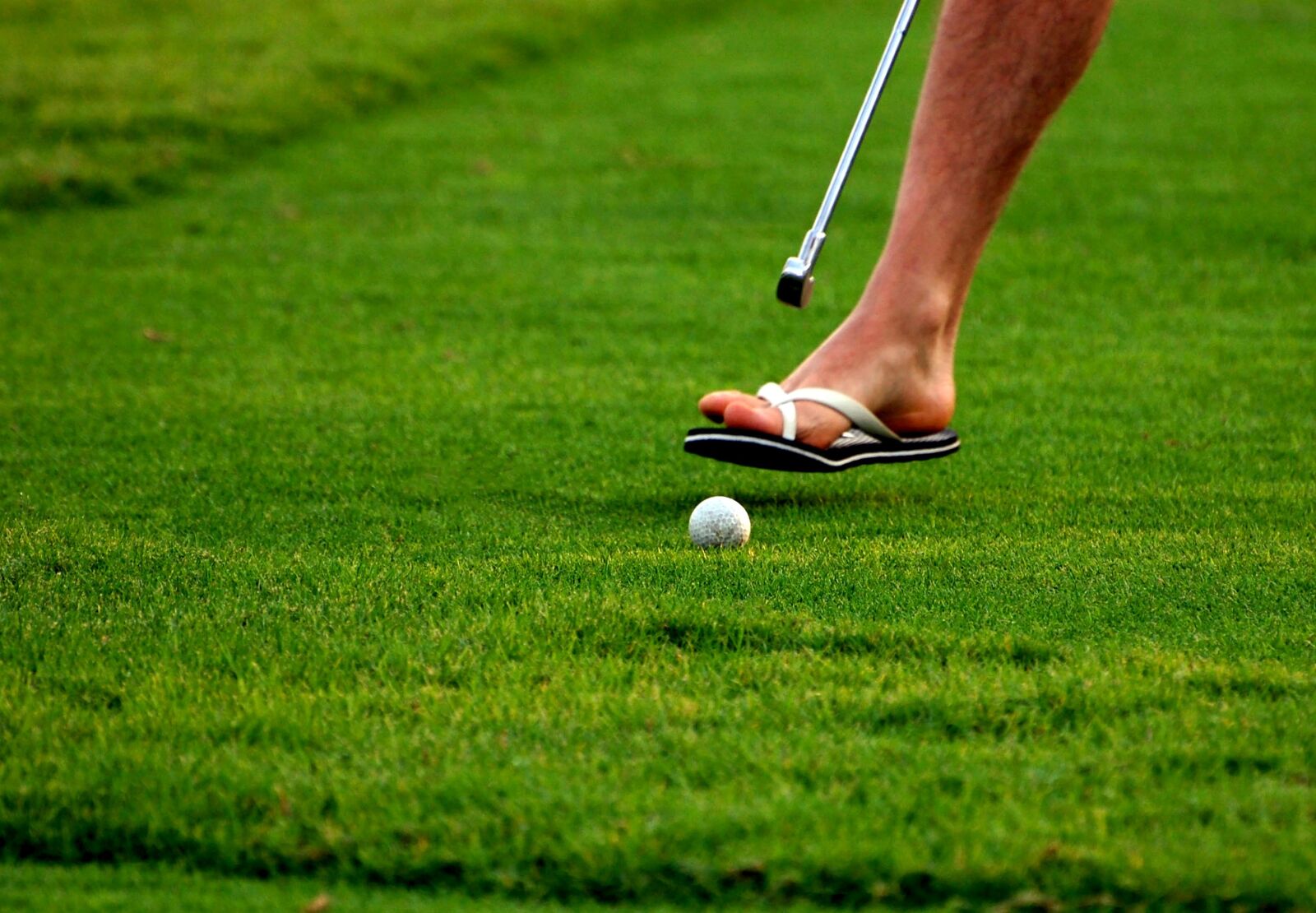 Nikon D40 sample photo. Golf, foot, sport photography