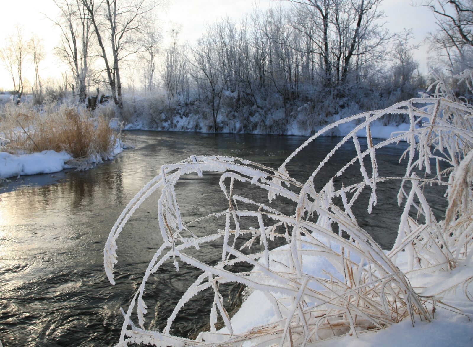 Canon EOS 5D sample photo. River, back on track photography