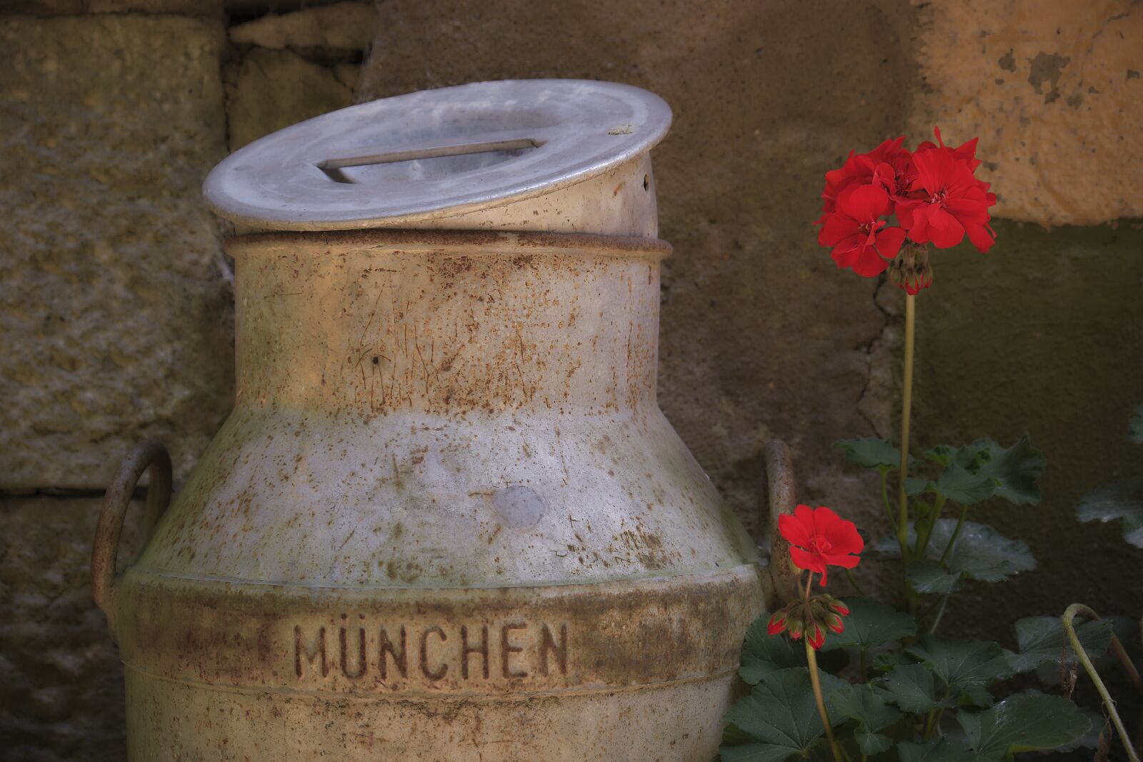 Fujifilm XF 18-55mm F2.8-4 R LM OIS sample photo. Milk can, old, flower photography