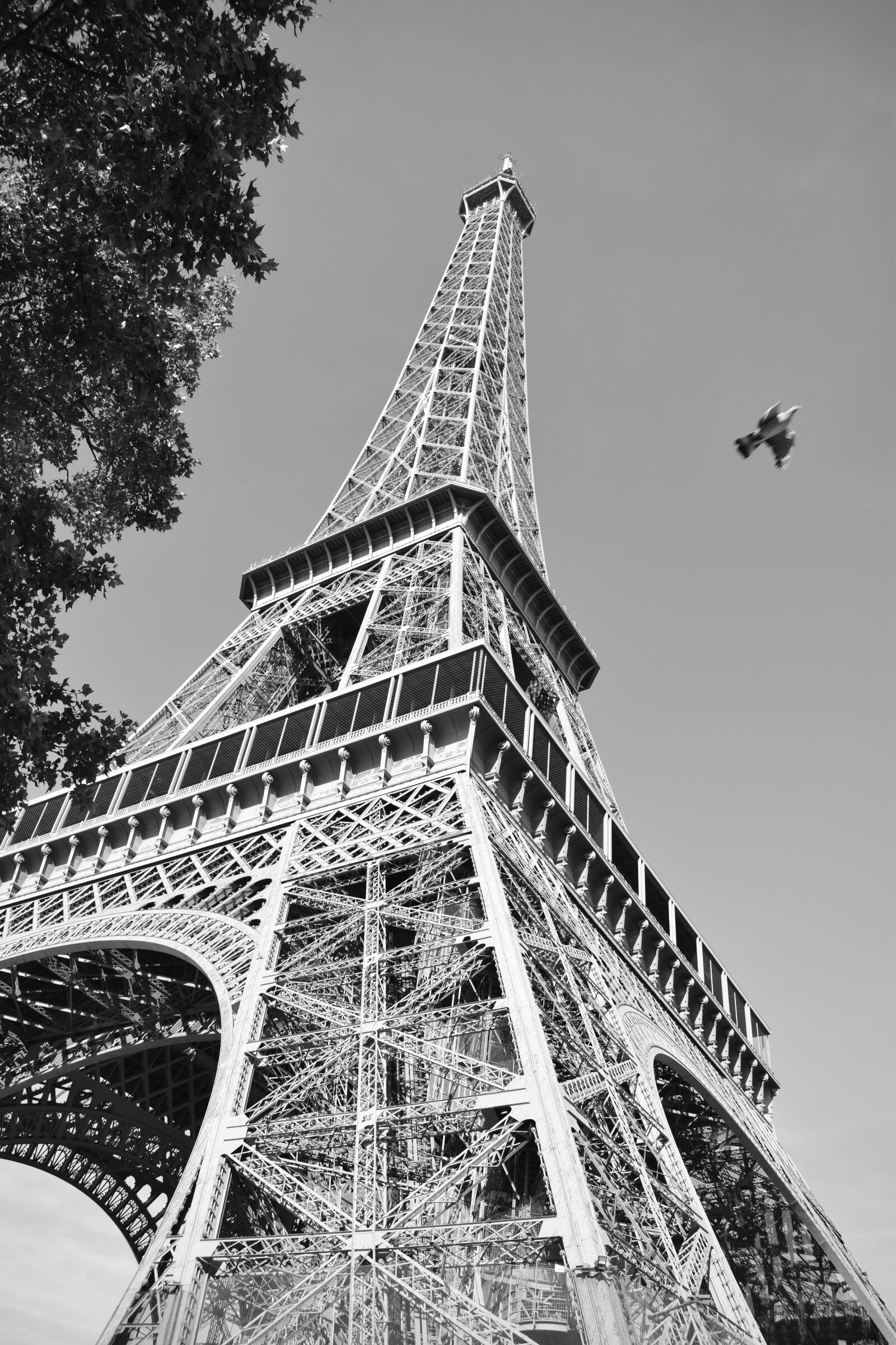 Nikon D5300 sample photo. Eifel tower, black and photography