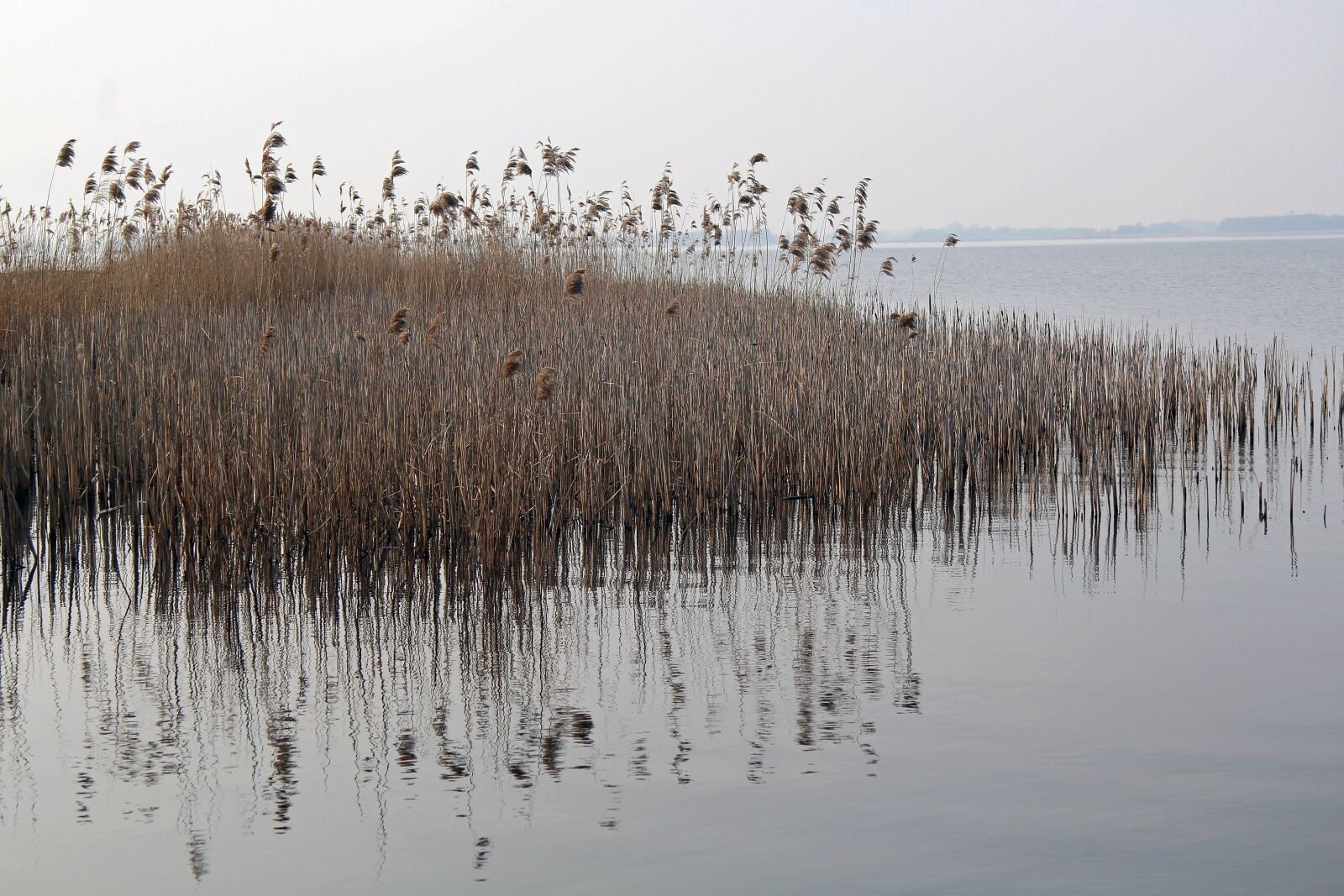 Canon EF-S 17-85mm F4-5.6 IS USM sample photo. Nature, drenthe, water photography