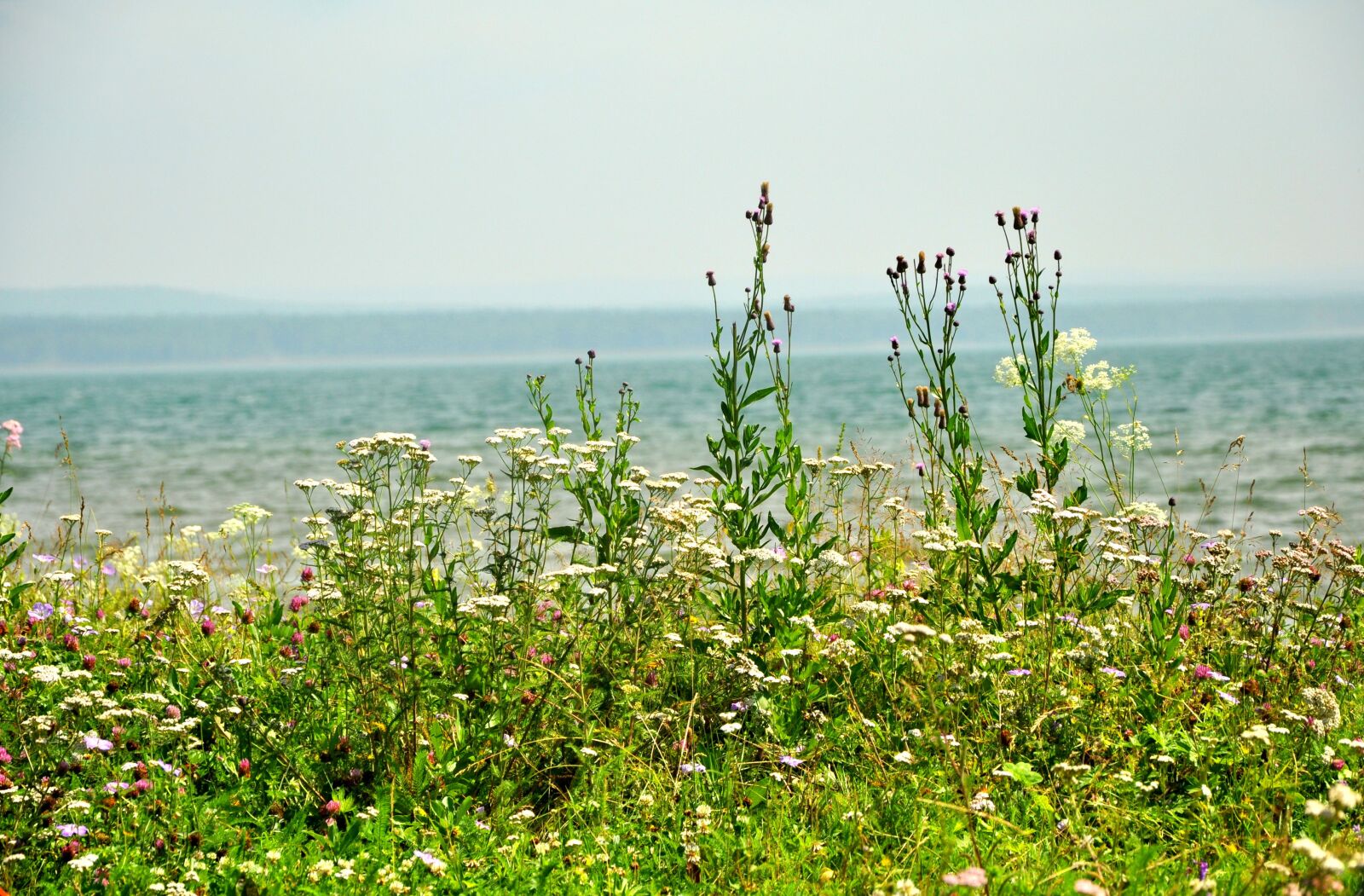 Nikon D90 sample photo. Nature, sea, summer photography