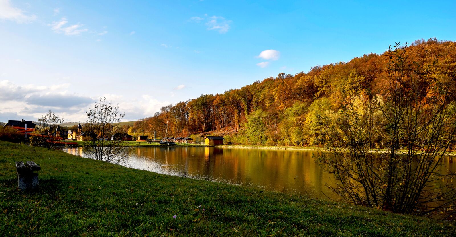 Nikon D5300 sample photo. Nature, country, autumn photography
