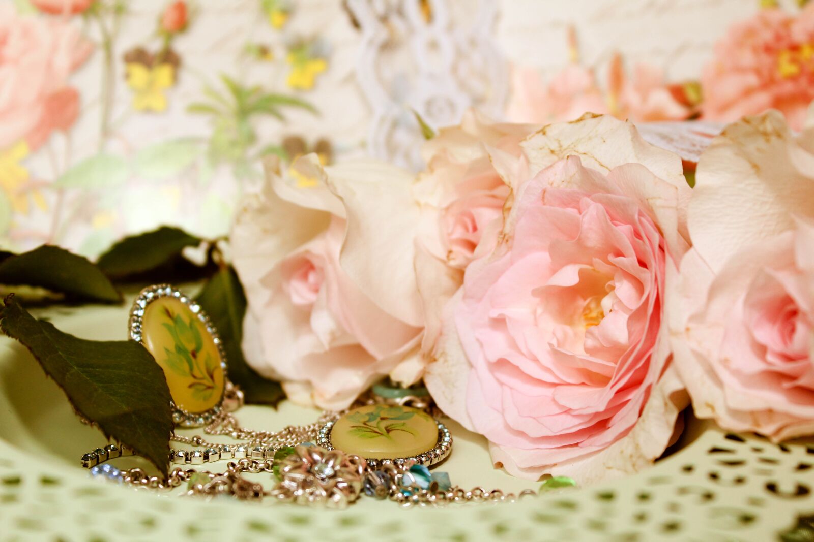 Canon EOS 600D (Rebel EOS T3i / EOS Kiss X5) sample photo. Romance, roses, pink medallion photography