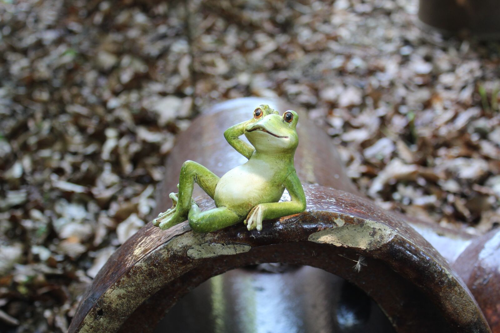 Canon EOS 1300D (EOS Rebel T6 / EOS Kiss X80) sample photo. Frog, green, figure photography