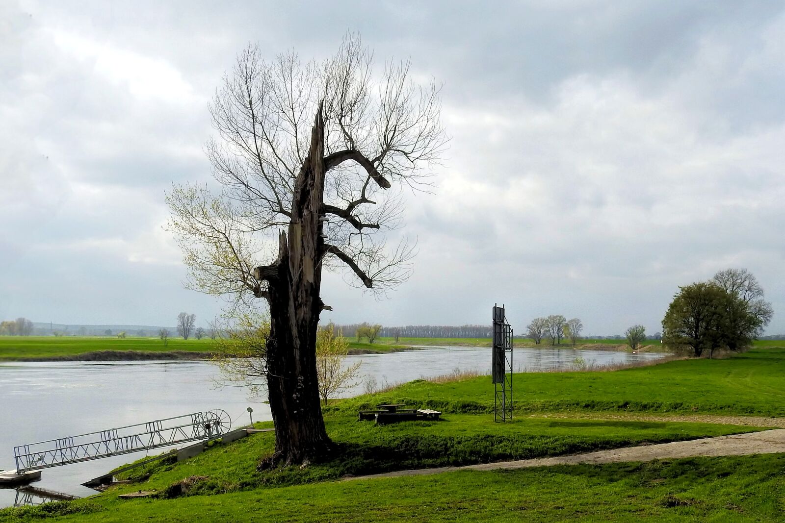 Nikon Coolpix P900 sample photo. Tree, landscape, nature photography