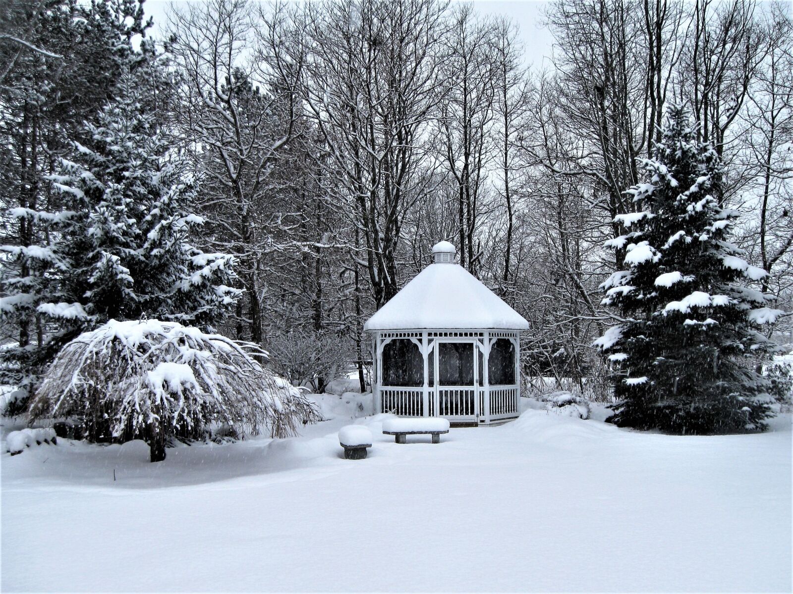 Canon PowerShot A590 IS sample photo. Gazebo, cupola, winter photography
