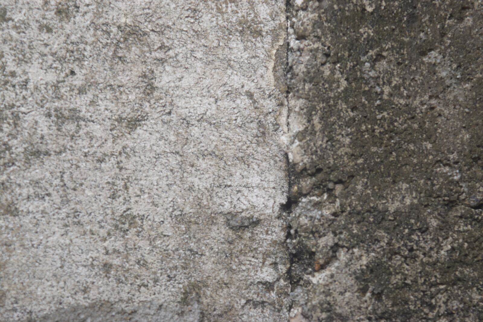 Nikon D3300 sample photo. Wall, background, texture photography