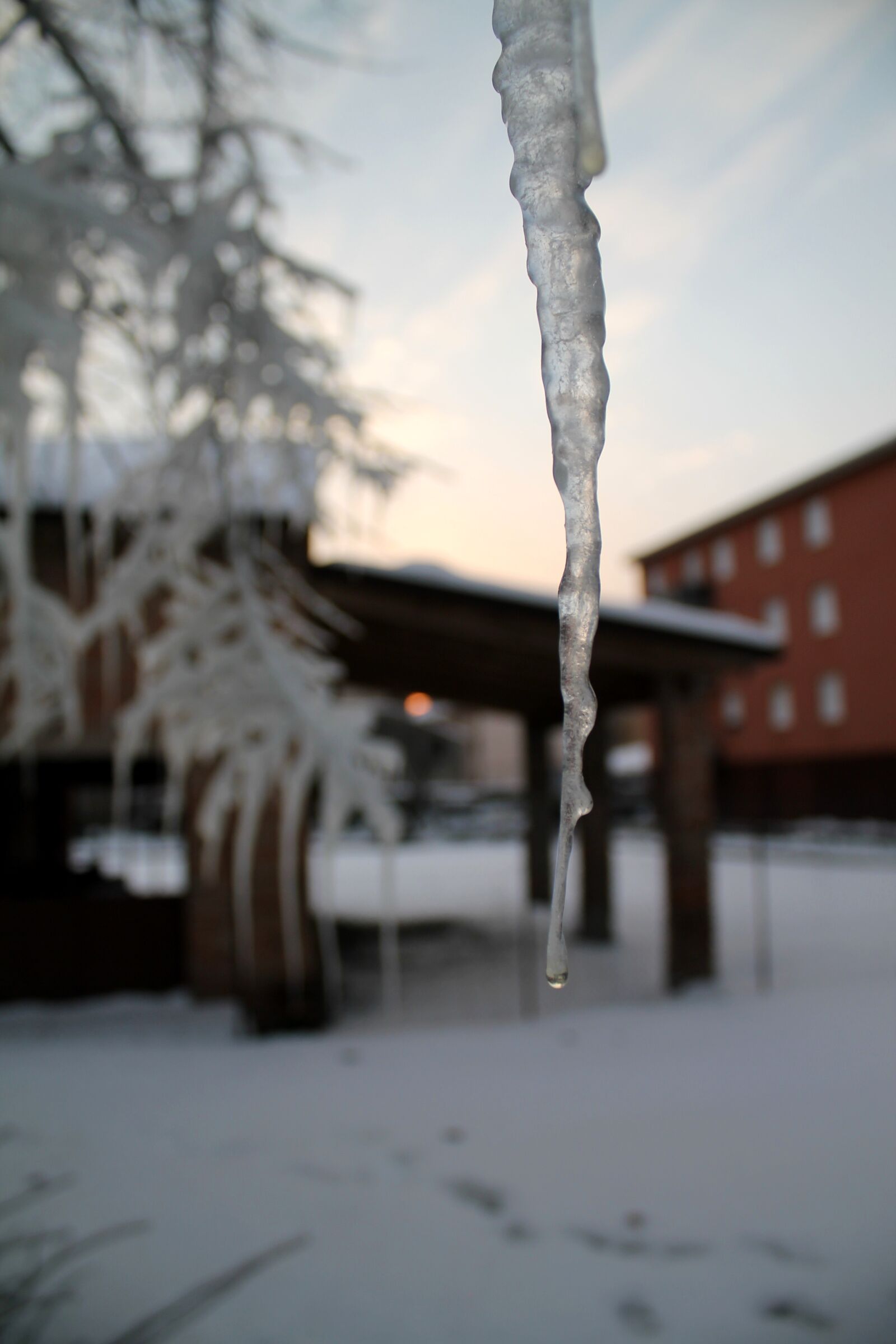 Canon EOS 1100D (EOS Rebel T3 / EOS Kiss X50) sample photo. Ice, winter, cold photography