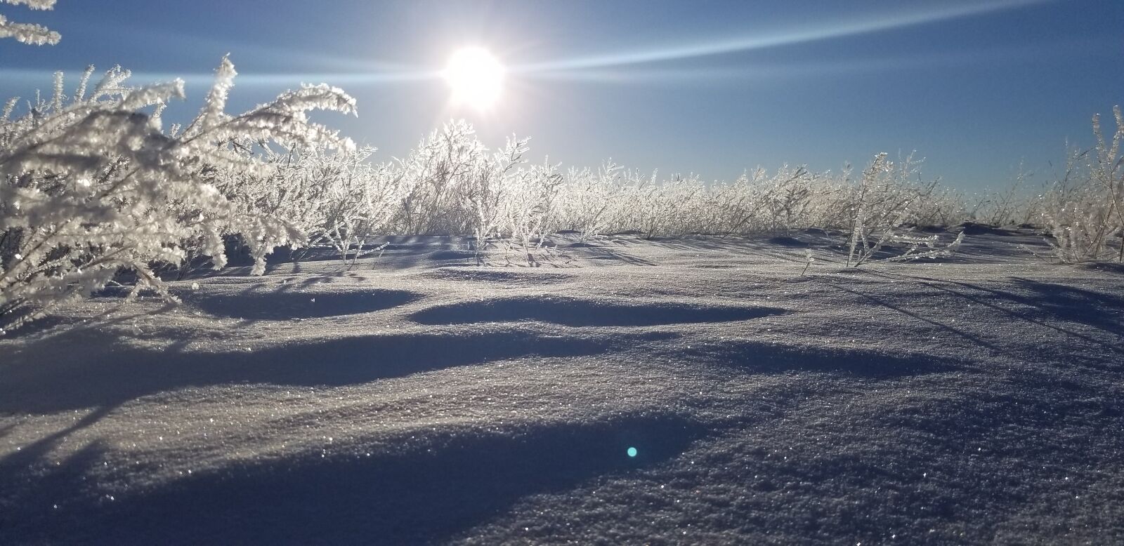 Samsung Galaxy S8 sample photo. Sunrise, ice field, winter photography