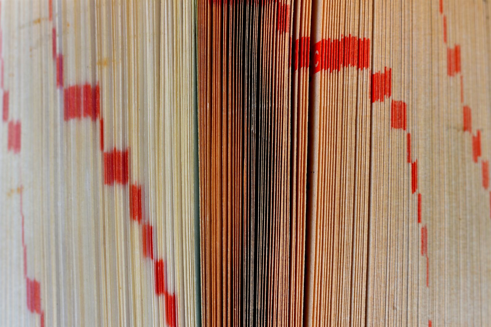Nikon D3500 sample photo. Dictionary, book, pages photography