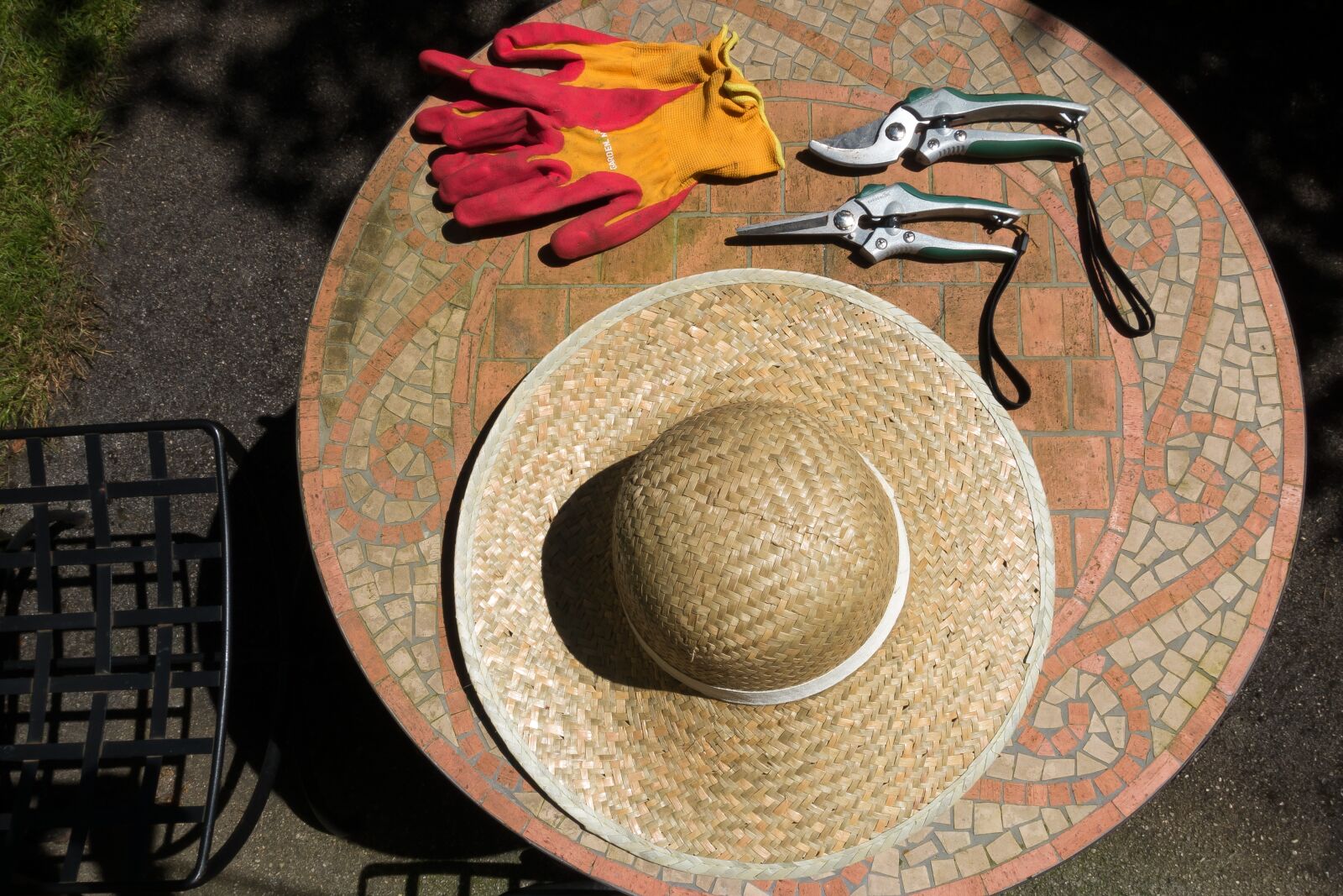 Sony Cyber-shot DSC-RX100 III sample photo. Coneflower, protection, uv radiation photography