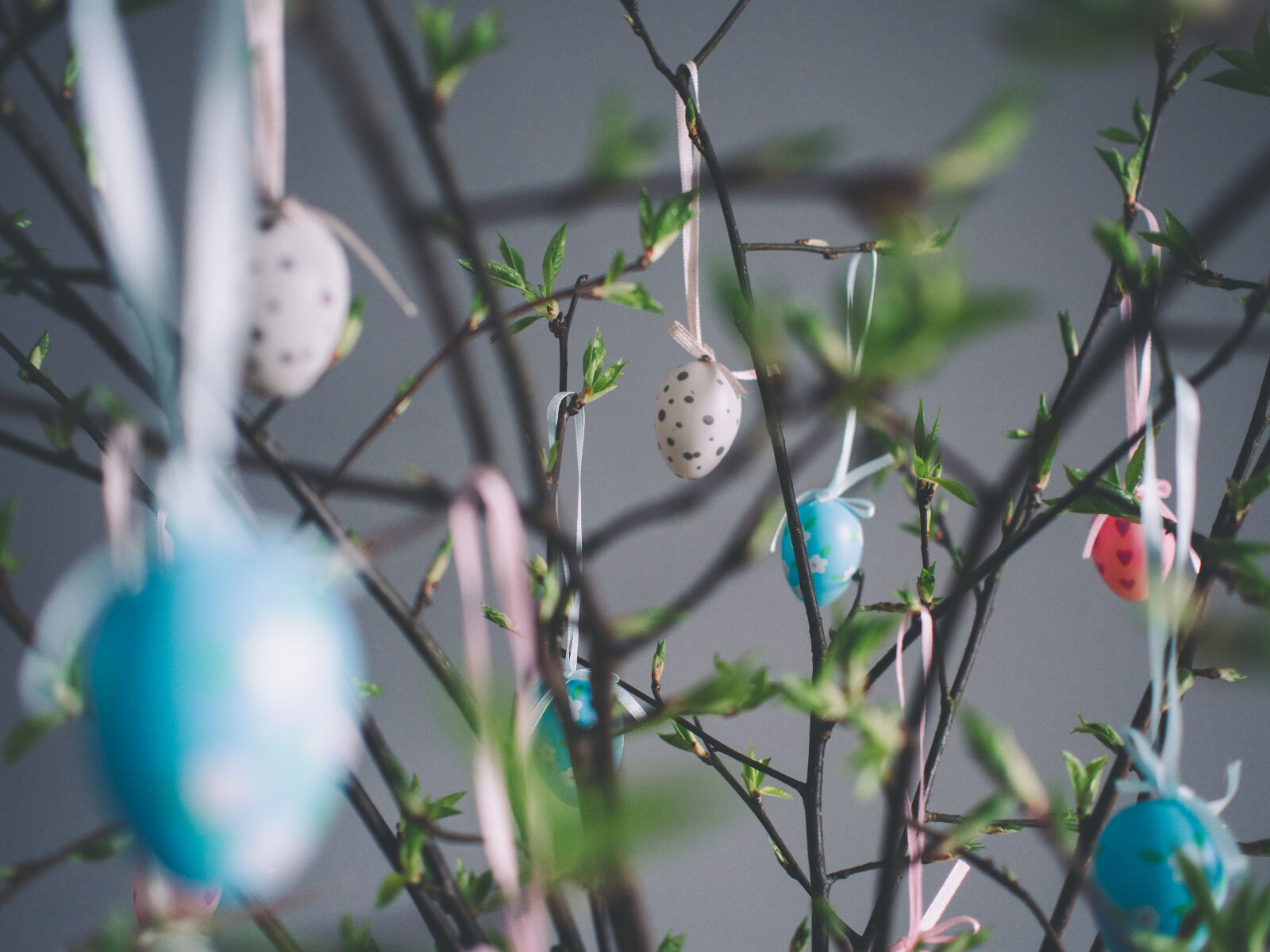 Olympus M.Zuiko Digital 17mm F1.8 sample photo. Blue, decoration, easter, eggs photography