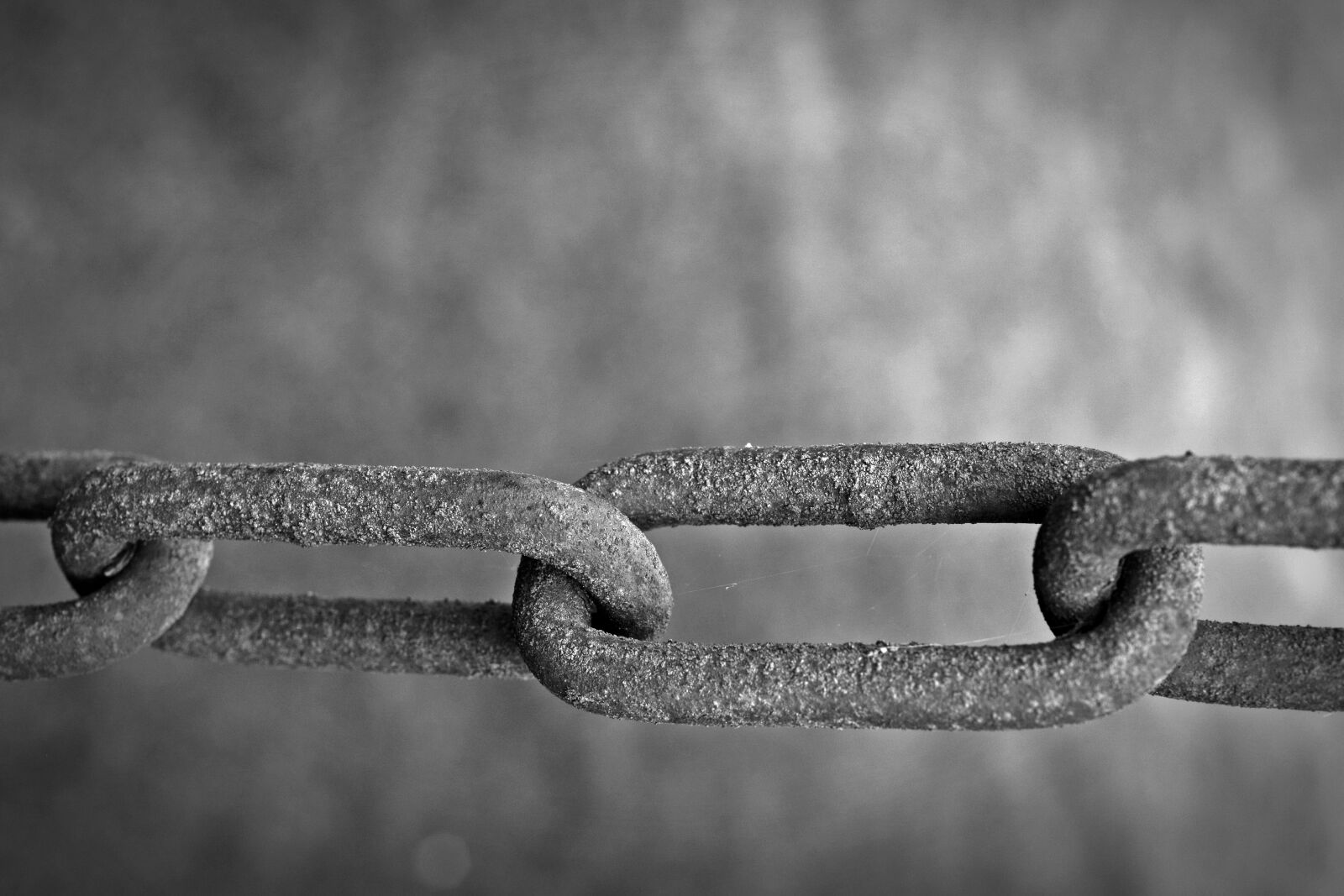 Nikon D5200 sample photo. Rust, chain, iron photography