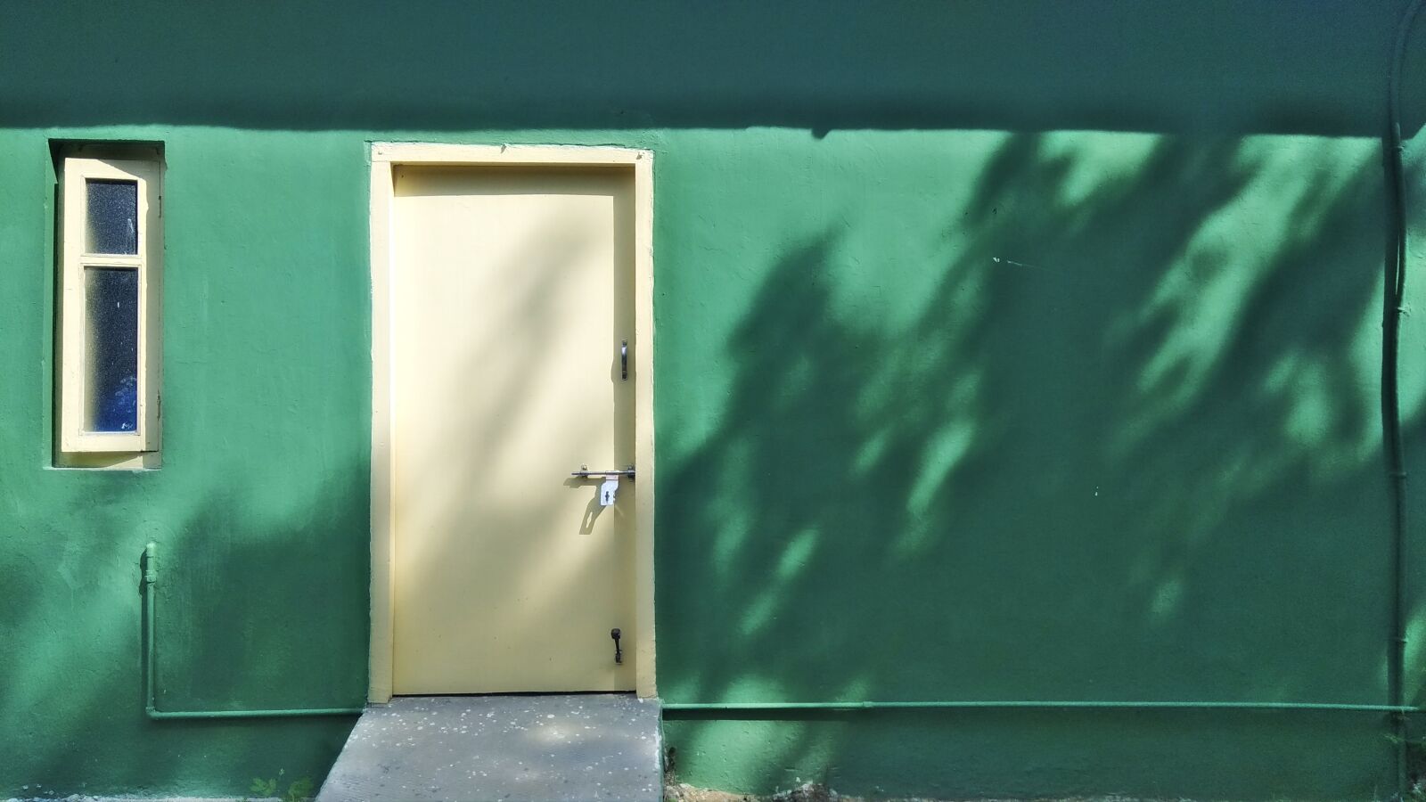 Xiaomi Redmi Note 4 sample photo. Background, image, dark, green photography