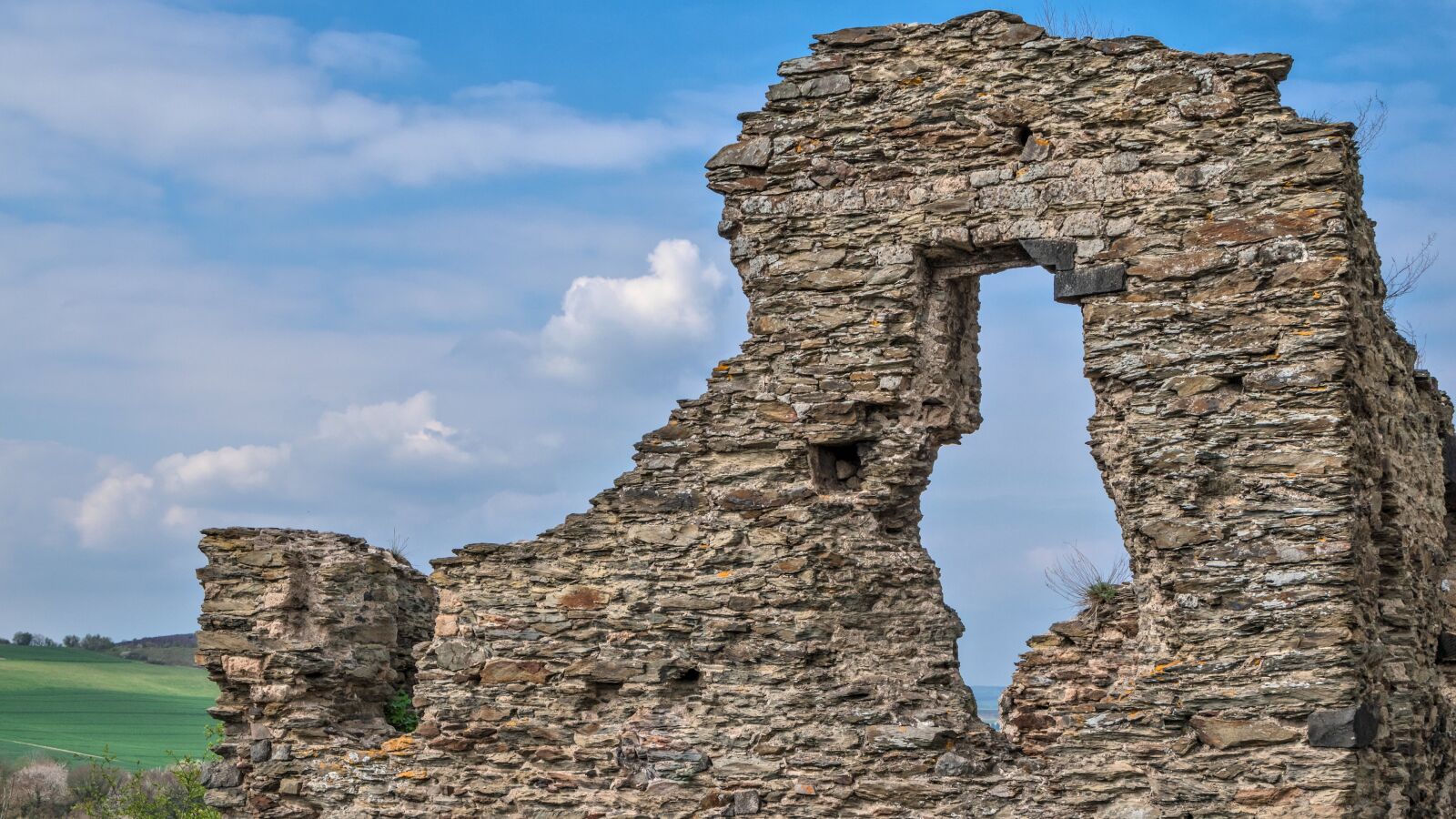 Nikon D5500 sample photo. Castle, wernerseck, ruin photography