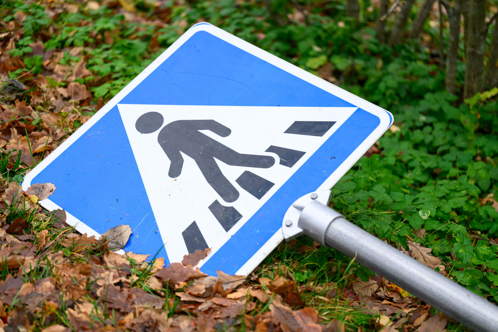 Tamron 90mm F2.8 Di III Macro VXD sample photo. Pedestrian fallen photography