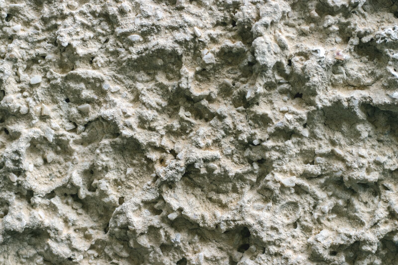 Canon EOS 80D + Canon EF 50mm F1.8 STM sample photo. Wild wall, plaster, white photography