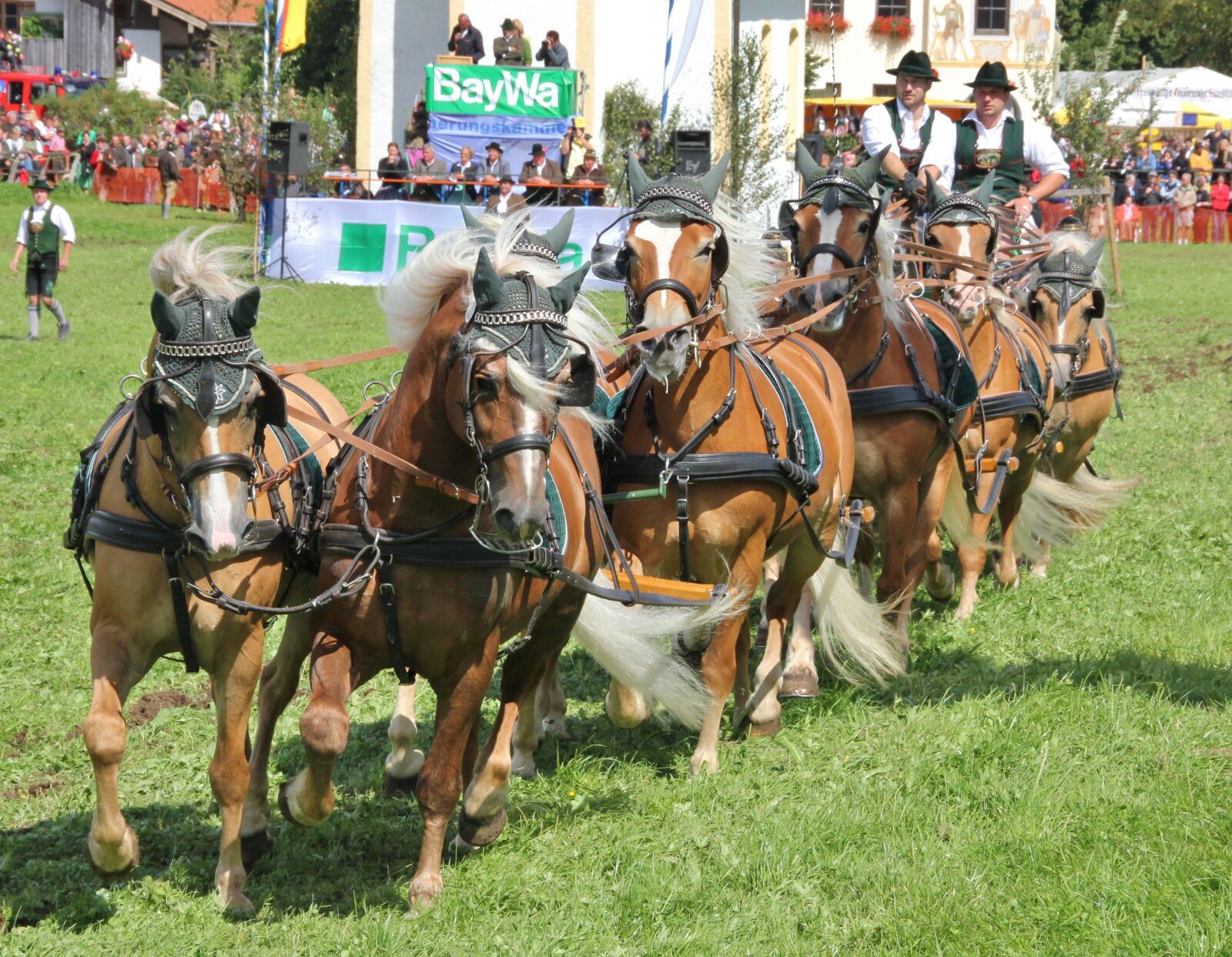 Canon EOS 550D (EOS Rebel T2i / EOS Kiss X4) sample photo. Cavalry, human, horse photography