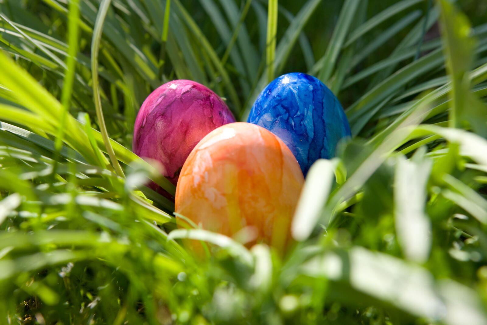 Canon EOS-1Ds Mark III sample photo. Easter, egg, colorful eggs photography