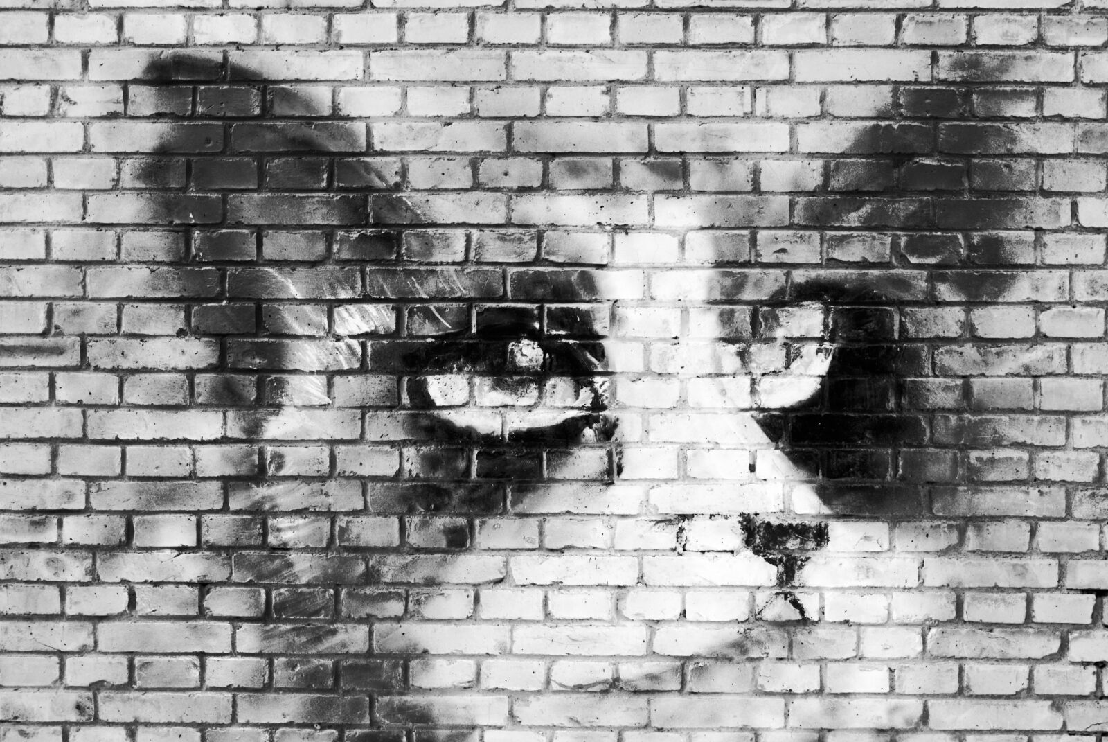 Sony Alpha DSLR-A330 sample photo. Cat, wall, mural photography