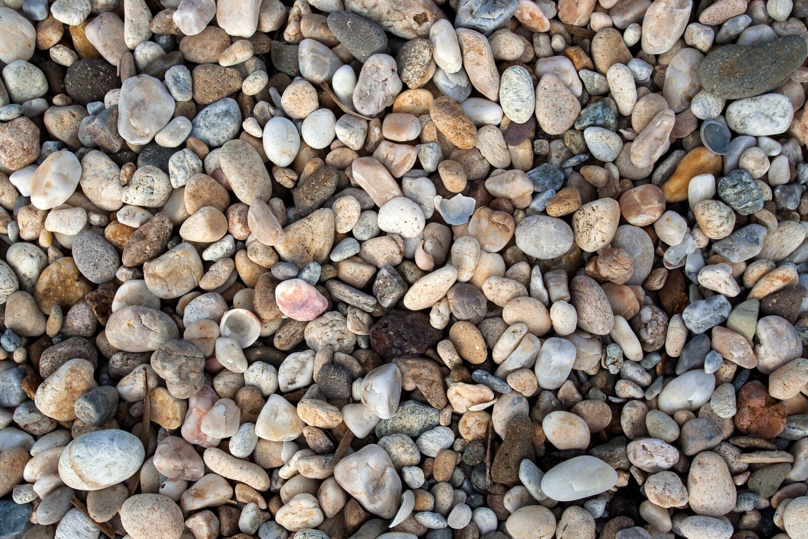 Canon EOS 350D (EOS Digital Rebel XT / EOS Kiss Digital N) sample photo. Pebbles, background, structure photography