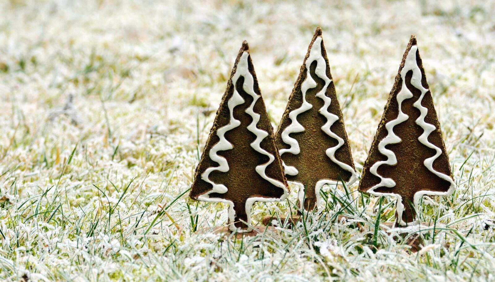 Nikon D5200 sample photo. Tree, fir, decoration, snow photography
