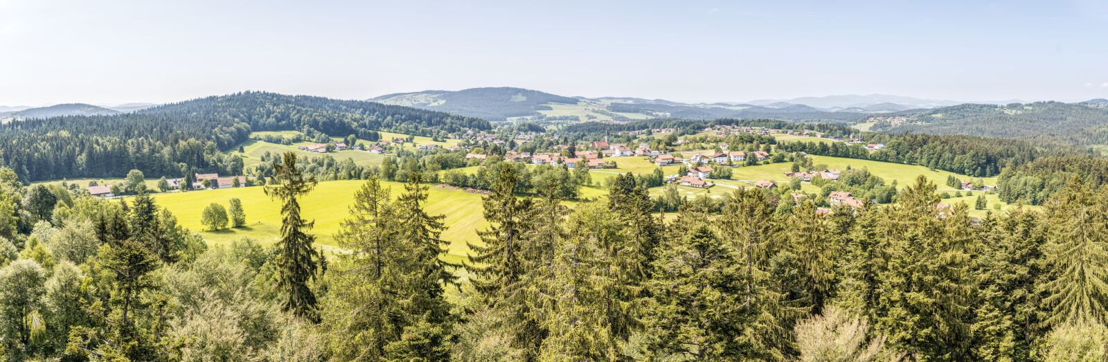 Sony a6300 + Sigma 30mm F2.8 EX DN sample photo. Neusch nau, bavarian forest photography