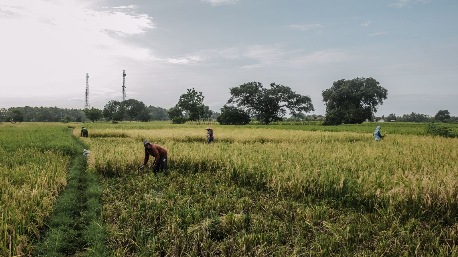 Canon EOS 600D (Rebel EOS T3i / EOS Kiss X5) sample photo. Landscape, farm, agriculture photography