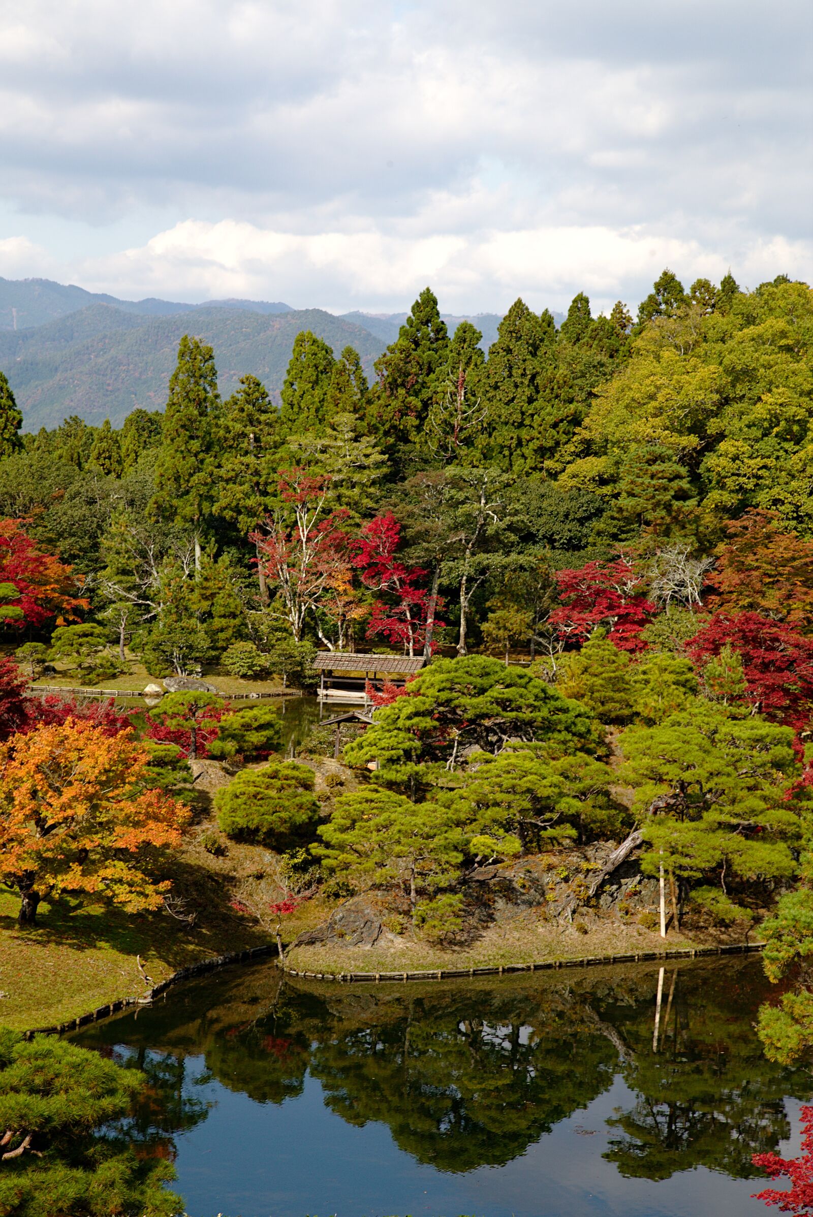 Canon EOS 6D + Canon EF 24-105mm F4L IS USM sample photo. Japan, kyoto, park photography