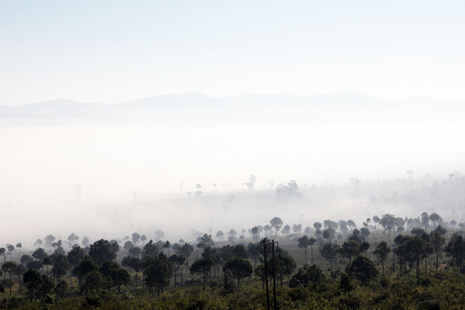 Canon EF-S 18-135mm F3.5-5.6 IS sample photo. Nature, landscape, fog photography