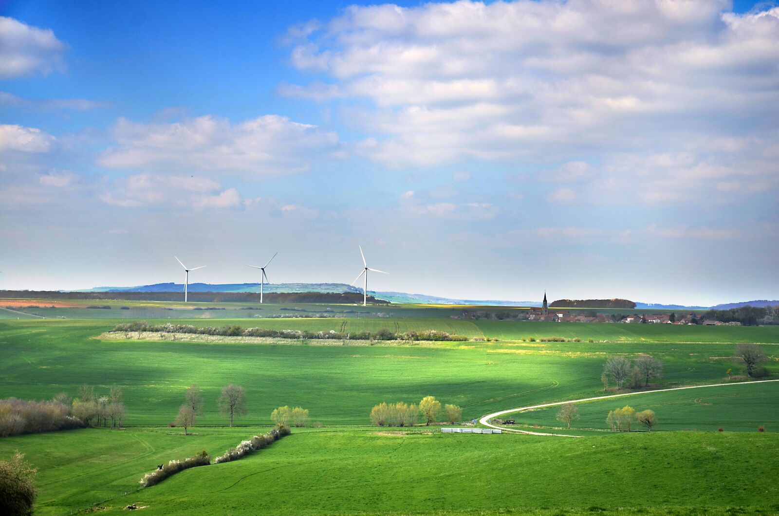 Nikon D5100 sample photo. Sustainable development, wind, high photography