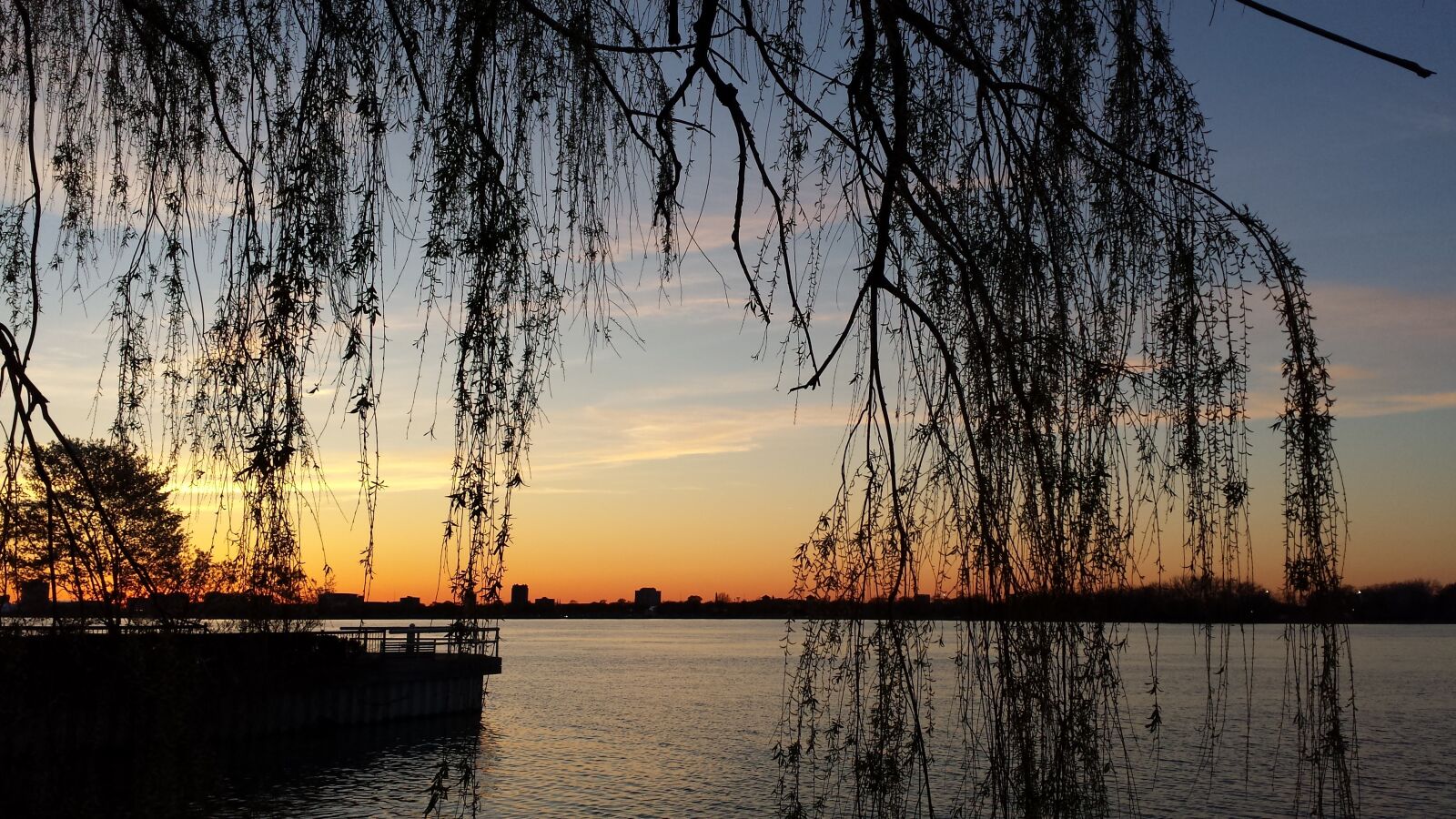 Samsung Galaxy S4 sample photo. Sunset, tree silhouette, skyline photography