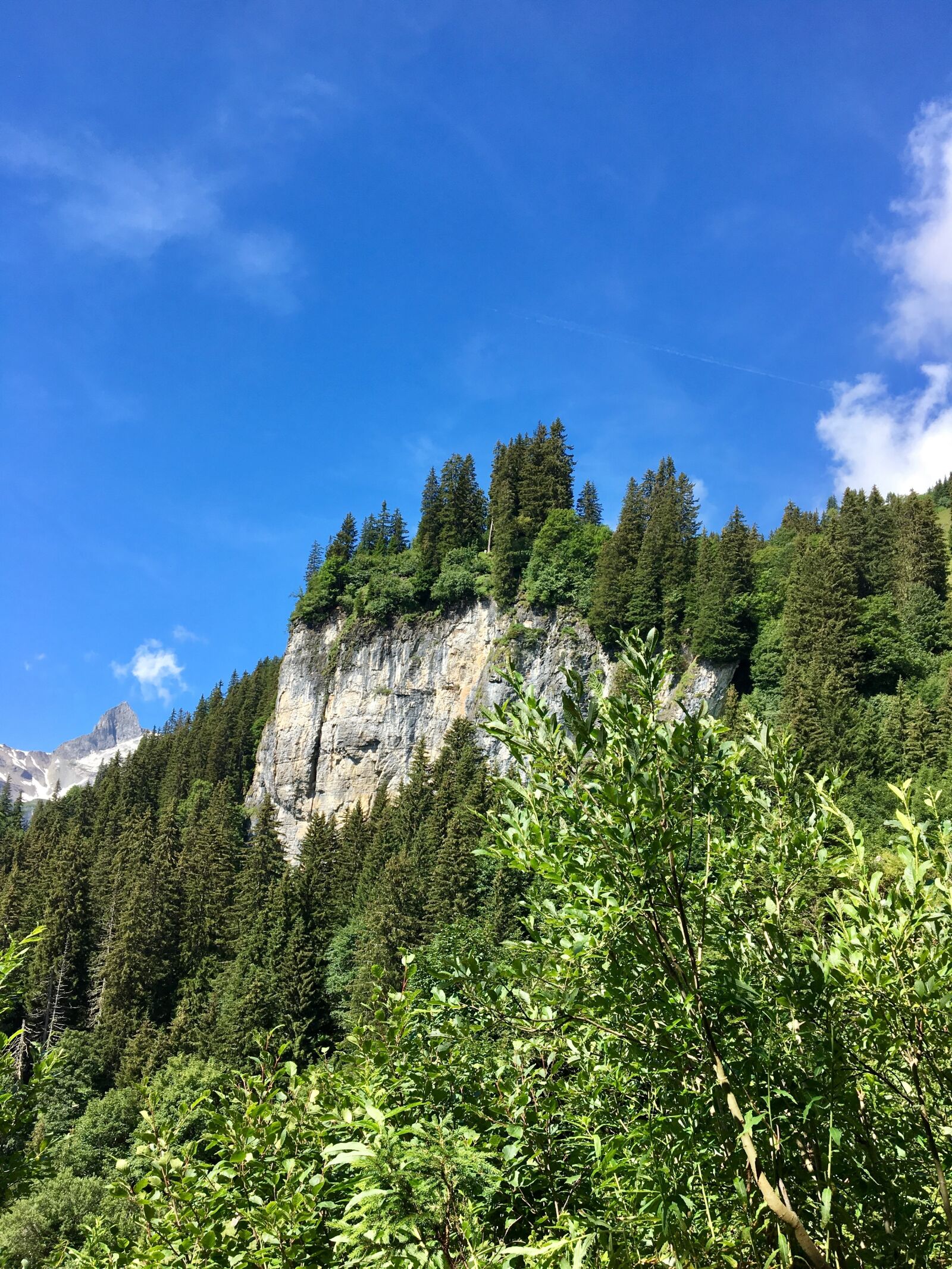 Apple iPhone 6s sample photo. Forest, mountains, sky photography