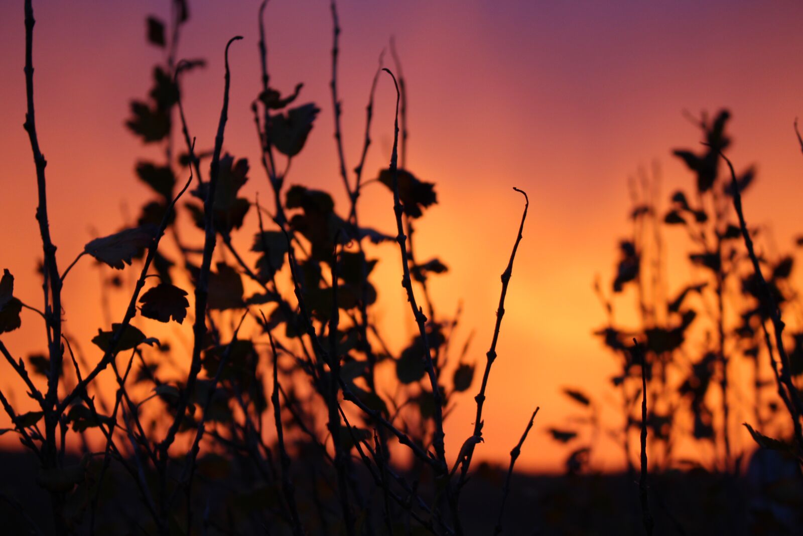 Canon EOS 700D (EOS Rebel T5i / EOS Kiss X7i) sample photo. Sunset, sky, landscape photography