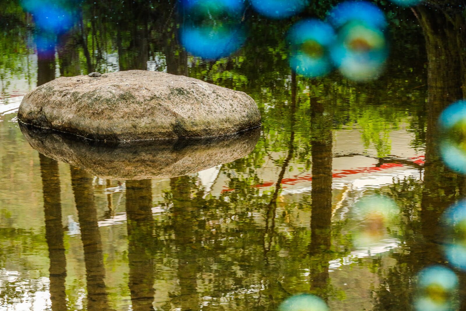Canon EOS R sample photo. Soap bubble, nature, river photography