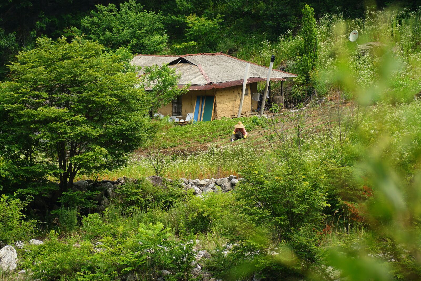 Sony SLT-A77 sample photo. An isolated house, country photography