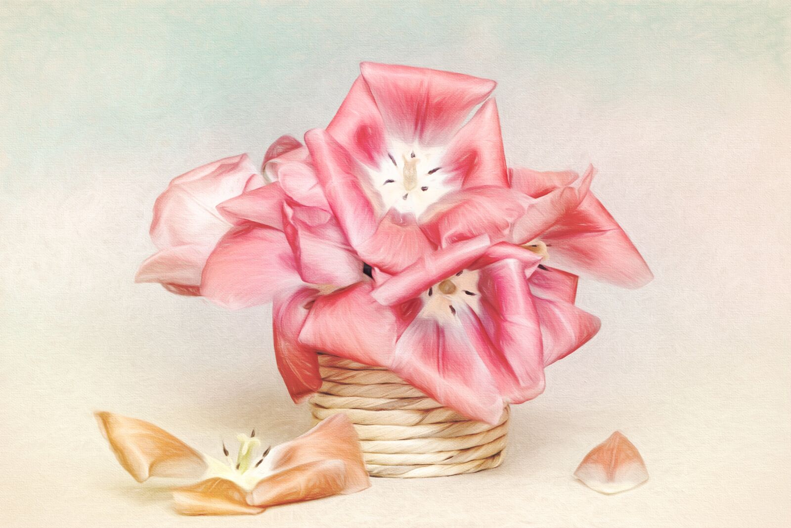 Nikon D750 sample photo. Image, painting, flowers photography