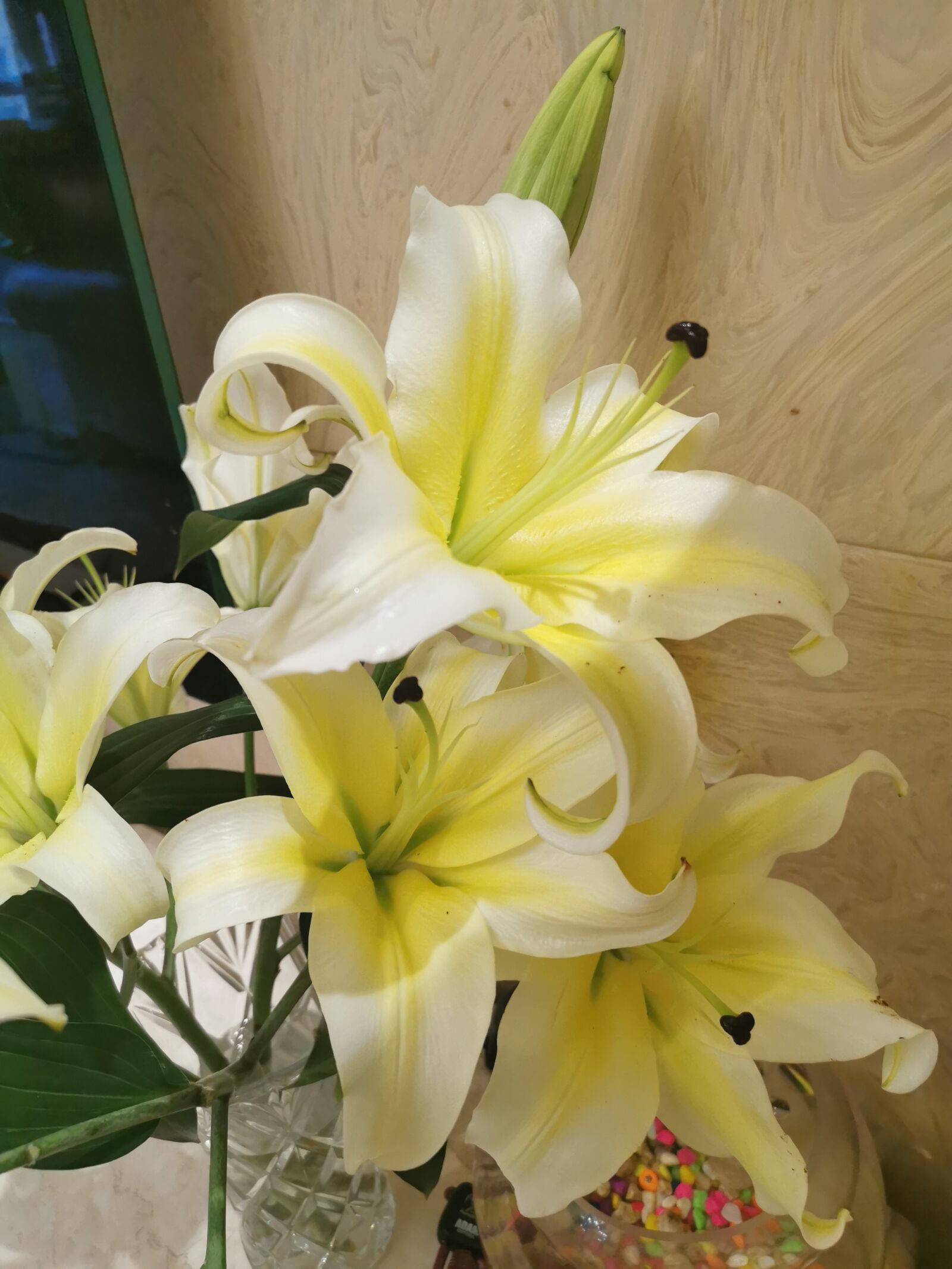 HUAWEI P30 sample photo. Plant, flower, beauty photography