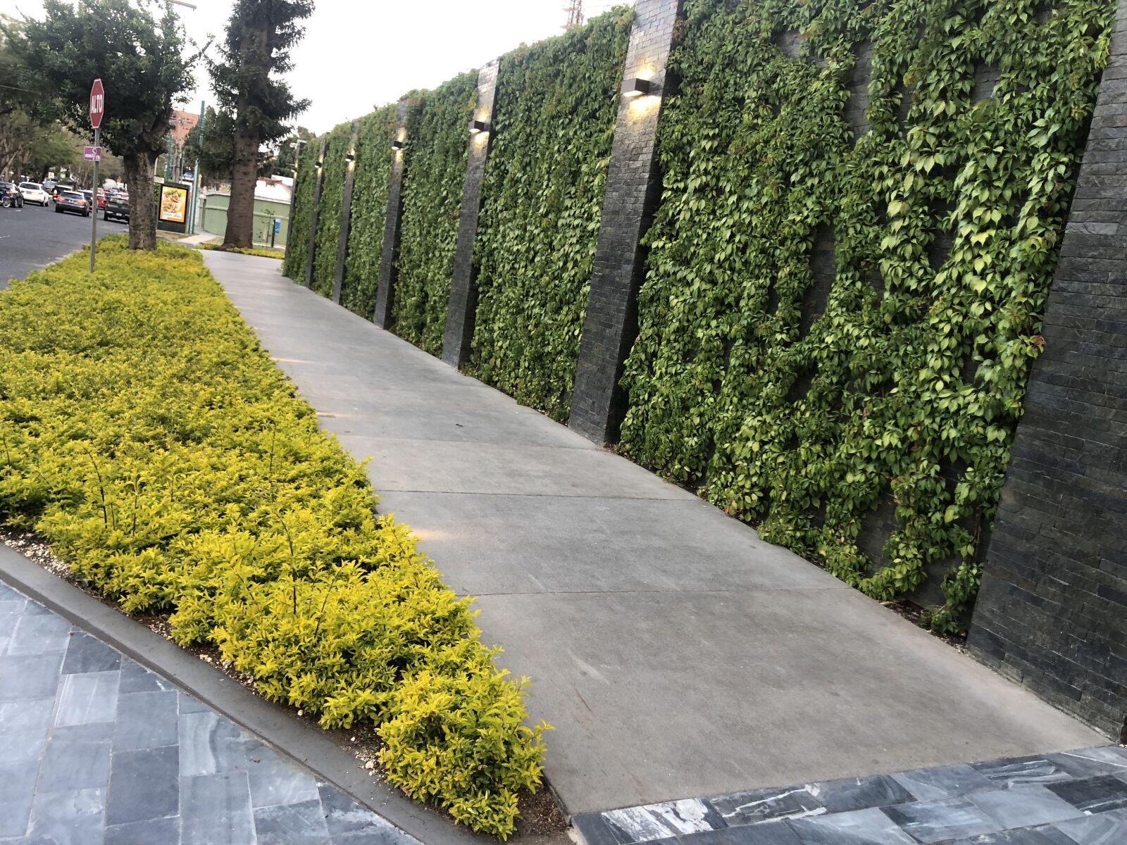iPhone 8 back camera 3.99mm f/1.8 sample photo. Sidewalk, walking, pavement photography