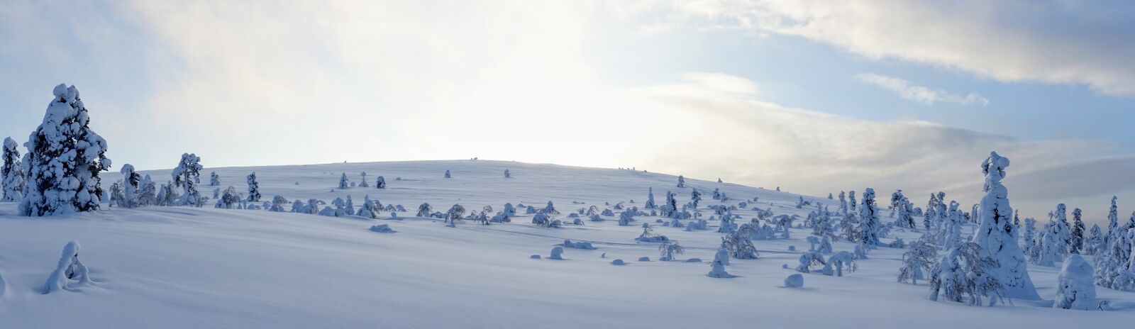 Sony Cyber-shot DSC-RX100 III sample photo. Landscape, snow, winter photography