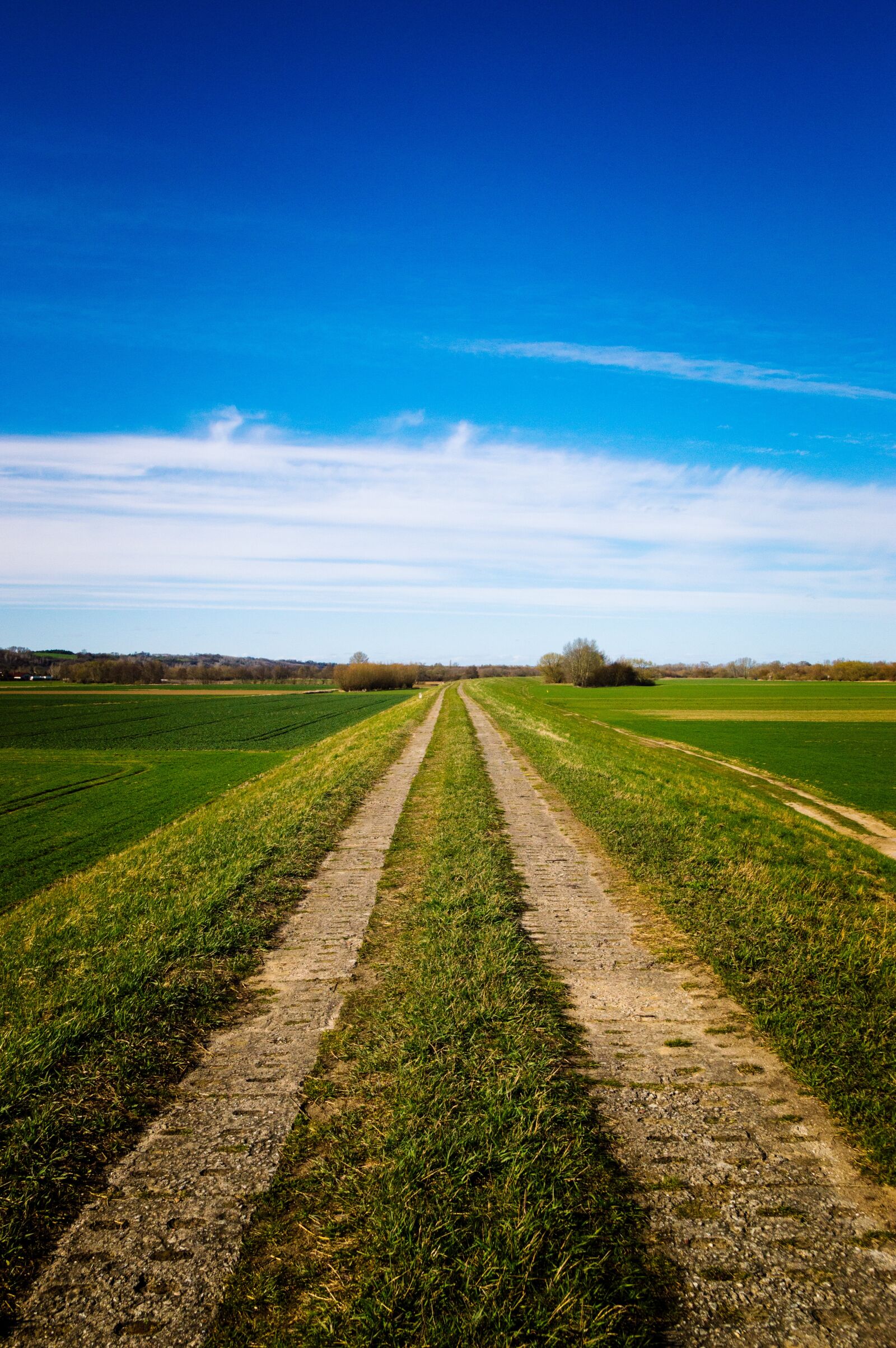 Nikon D3200 sample photo. Road, sky, landscape photography