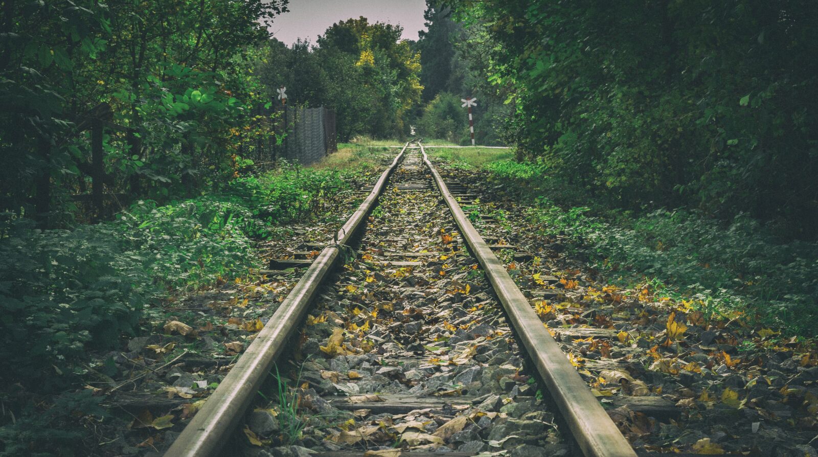 Canon EOS 700D (EOS Rebel T5i / EOS Kiss X7i) sample photo. Forest, railway, track photography