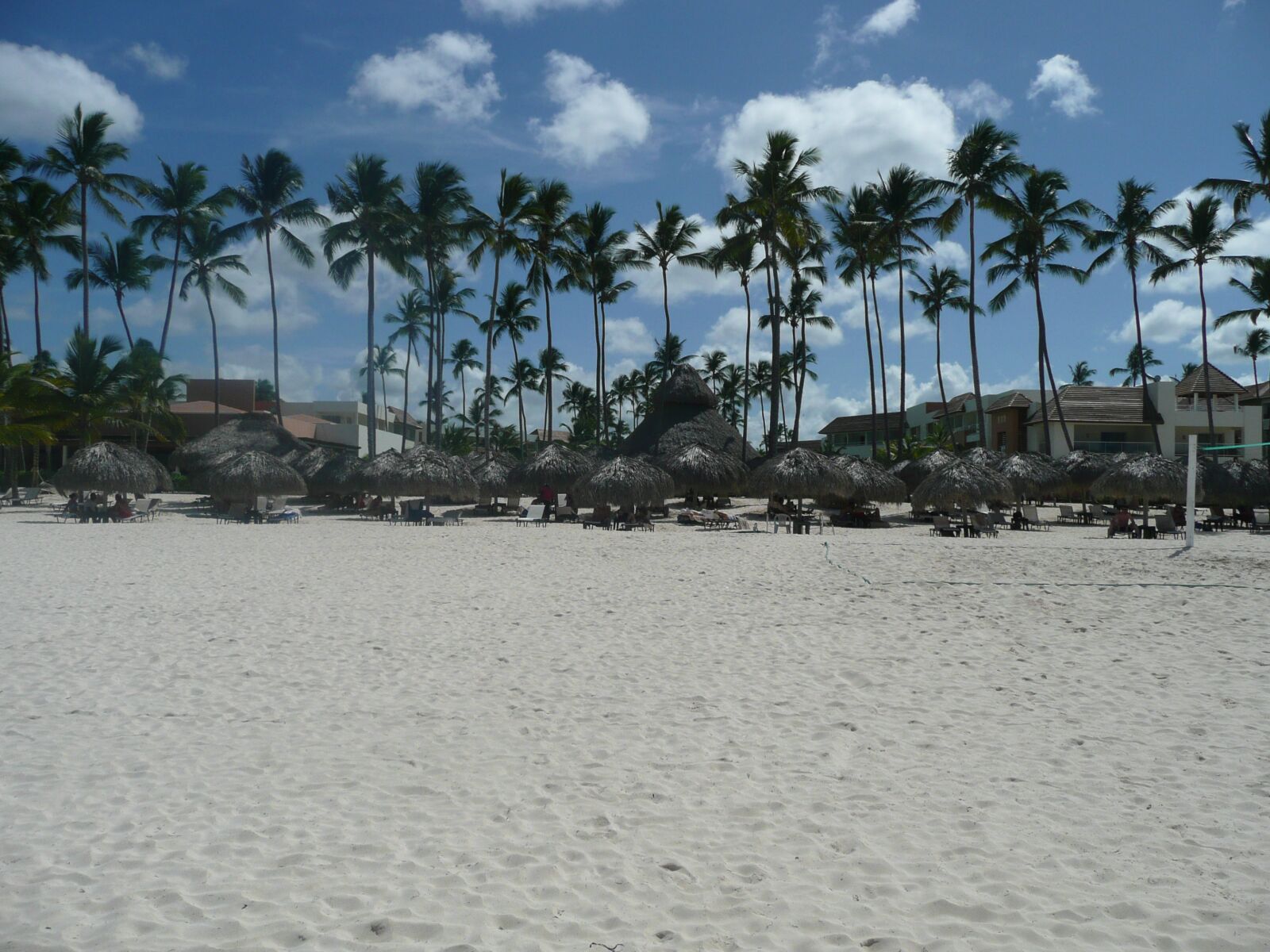 Panasonic DMC-TZ3 sample photo. Punta cana, beach, palm photography